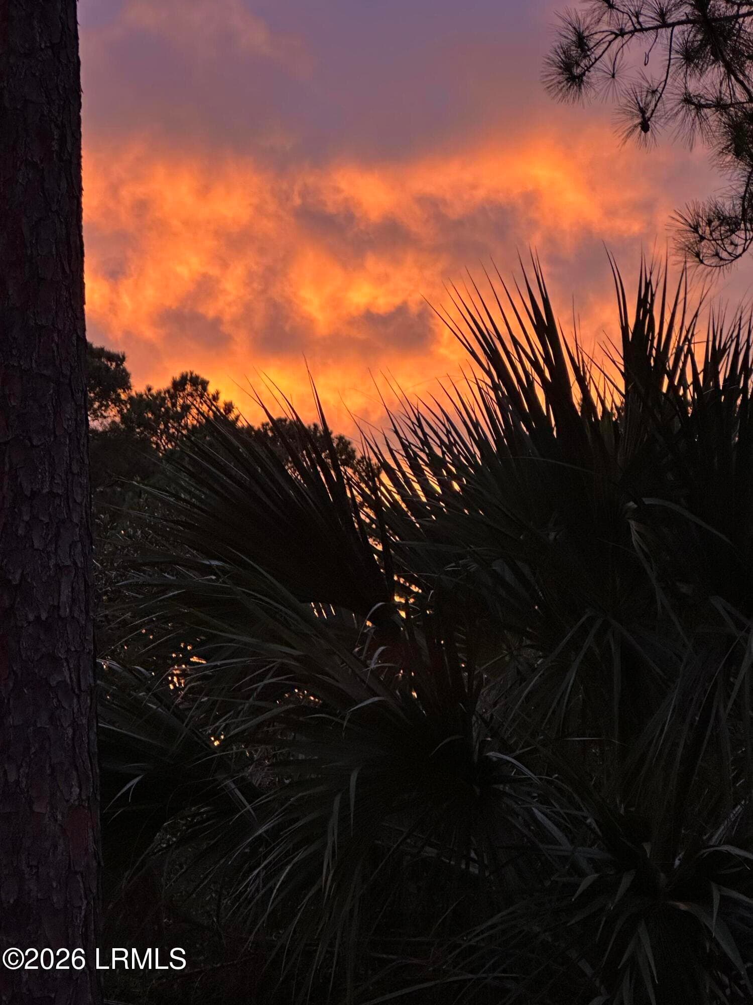 IMG_2194 - 16 Pine Burr Road E 8, Hilton Head Island, SC 29926