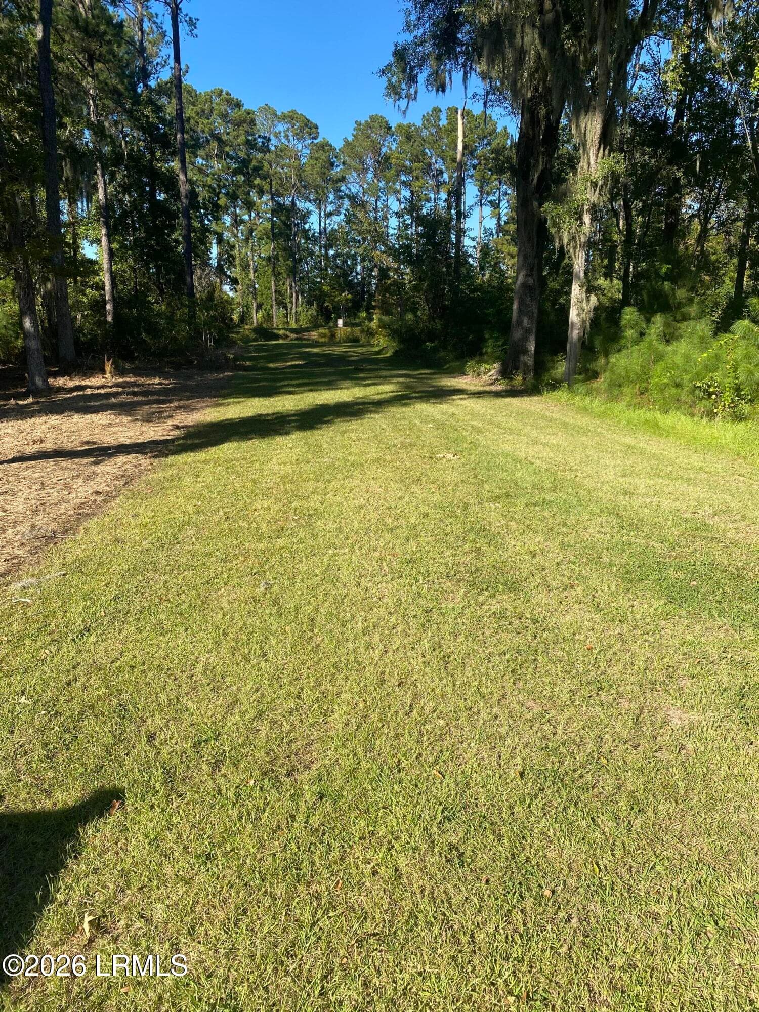 backyard - 105 Teal Bluff Boulevard, Seabrook, SC 29940
