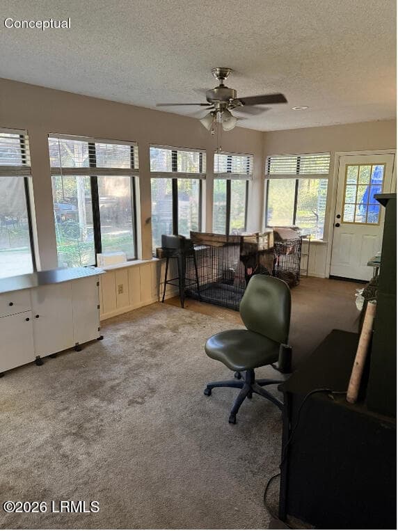 Photo Lighting Match (6) - 54 Wade Hampton Drive, Beaufort, SC 29907