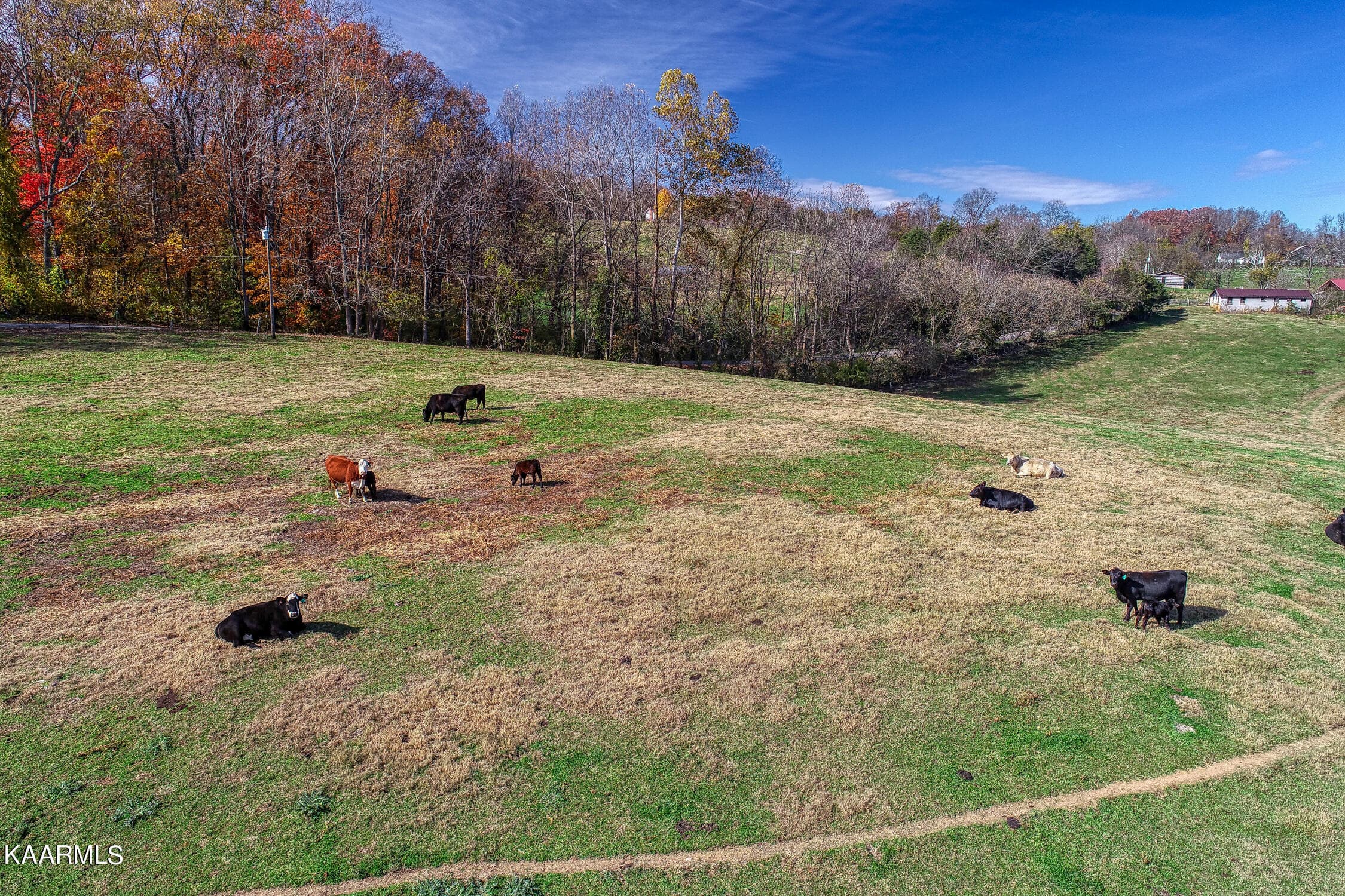D. Hill. Rocky Top. TN MLSa (26 of 46) - 311 Ross Cemetery Rd, Rocky Top, TN 37769