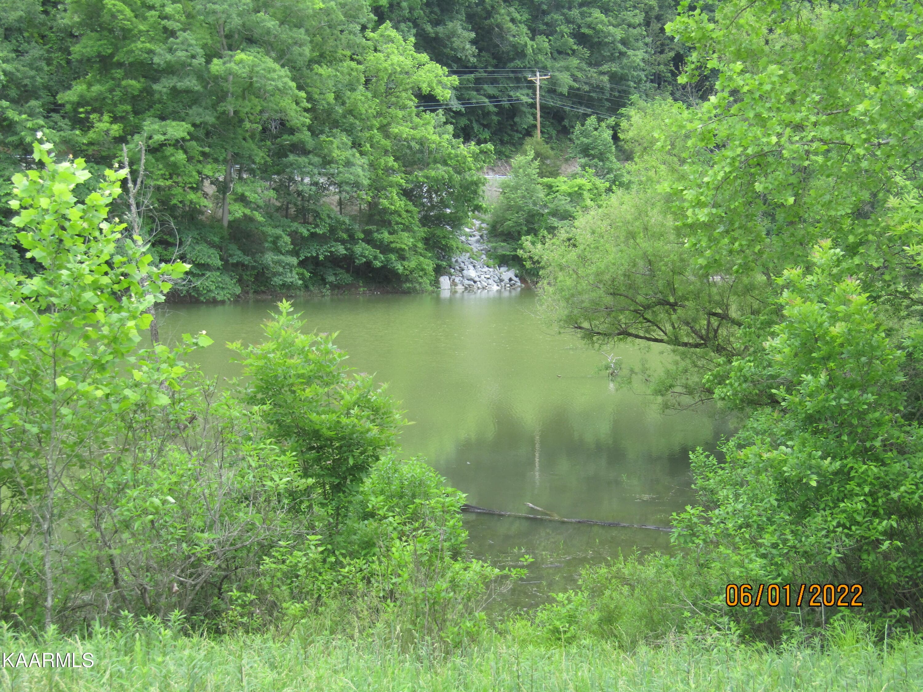 IMG_4510 - 57 Acres Off Hwy 33 Track 2, Tazewell, TN 37879, Tazewell