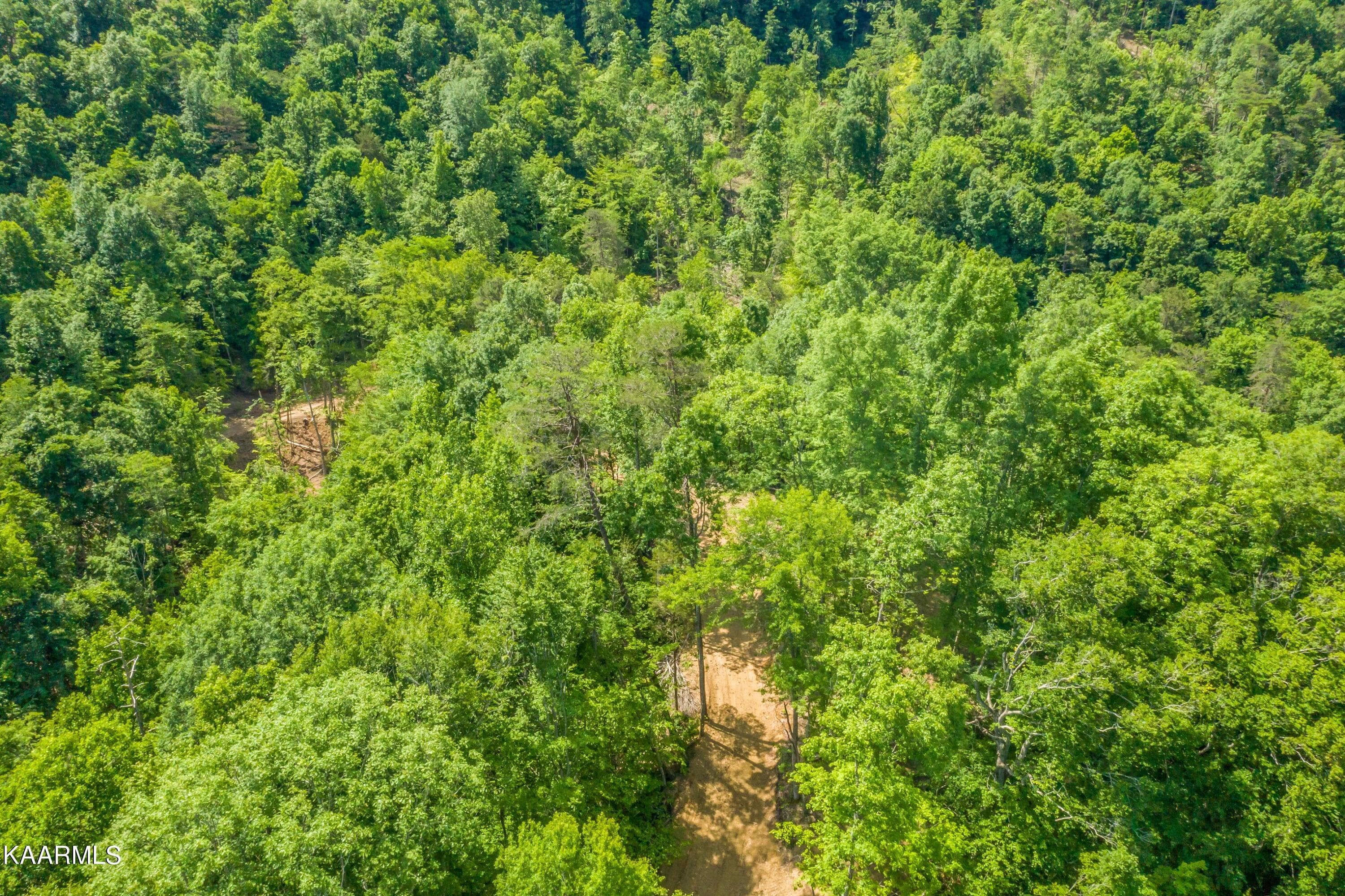 Exterior-26-SMALL 2 - 57 Acres Off Hwy 33 Track 1, Tazewell, TN 37879, Tazewell