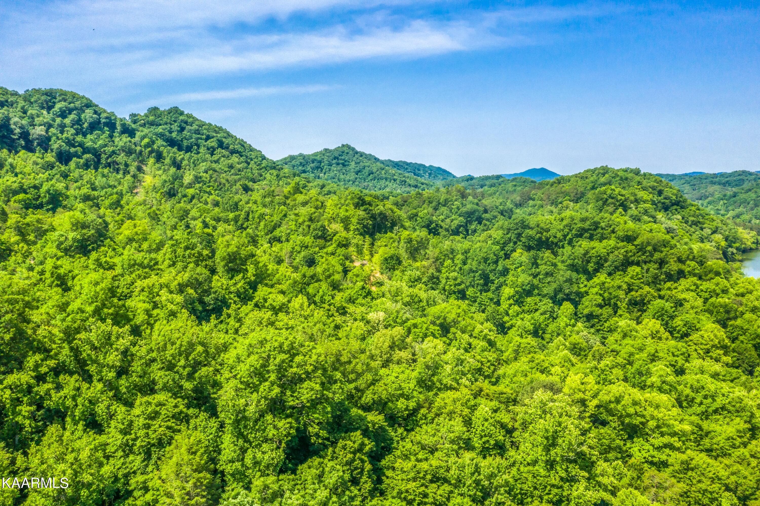 Exterior-22-SMALL - 57 Acres Off Hwy 33 Track 1, Tazewell, TN 37879, Tazewell
