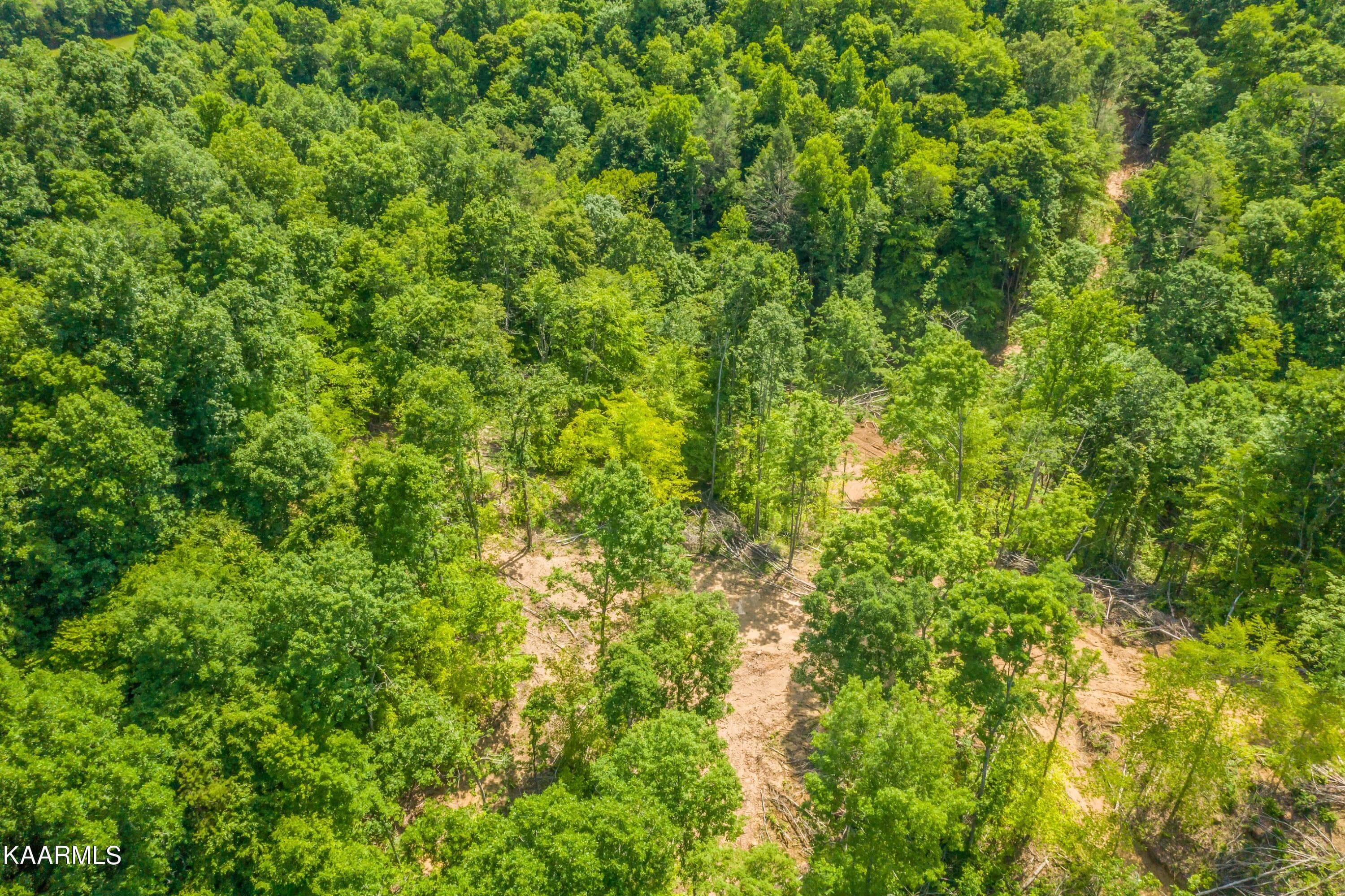 Exterior-25-SMALL - 57 Acres Off Hwy 33 Track 1, Tazewell, TN 37879, Tazewell