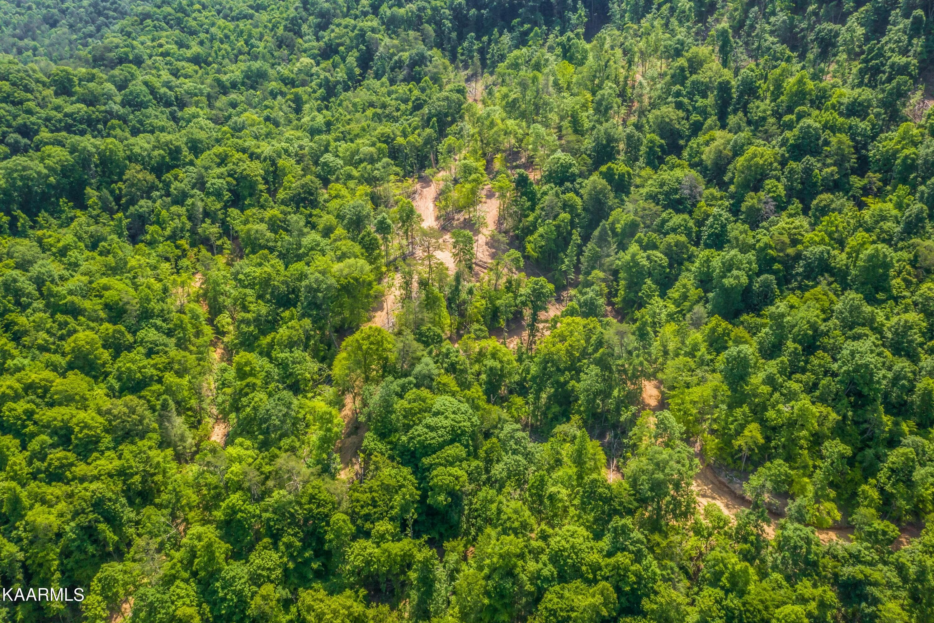 Exterior-16-SMALL - 57 Acres Off Hwy 33 Track 1, Tazewell, TN 37879, Tazewell