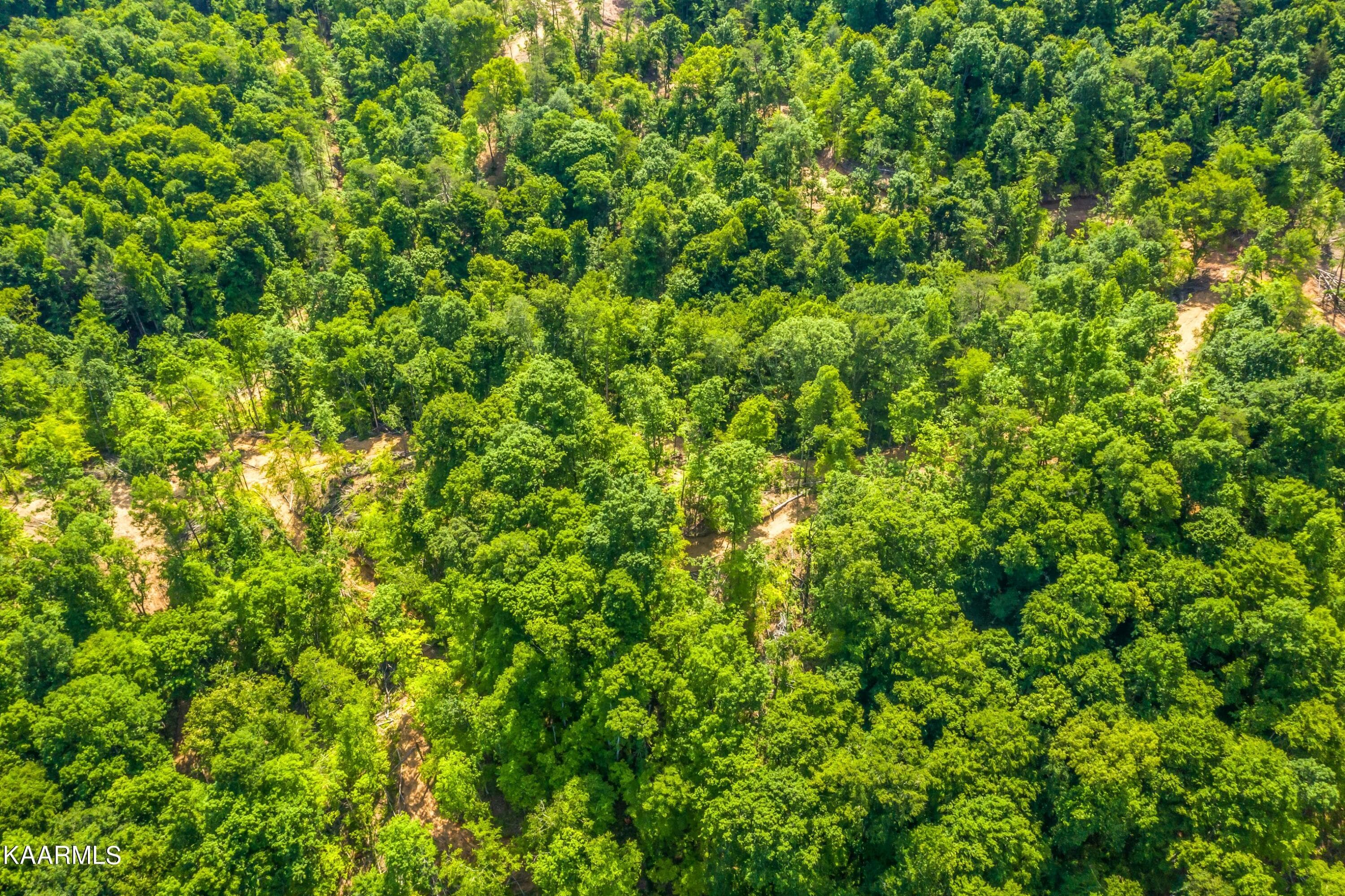 Exterior-15-SMALL - 57 Acres Off Hwy 33 Track 1, Tazewell, TN 37879, Tazewell