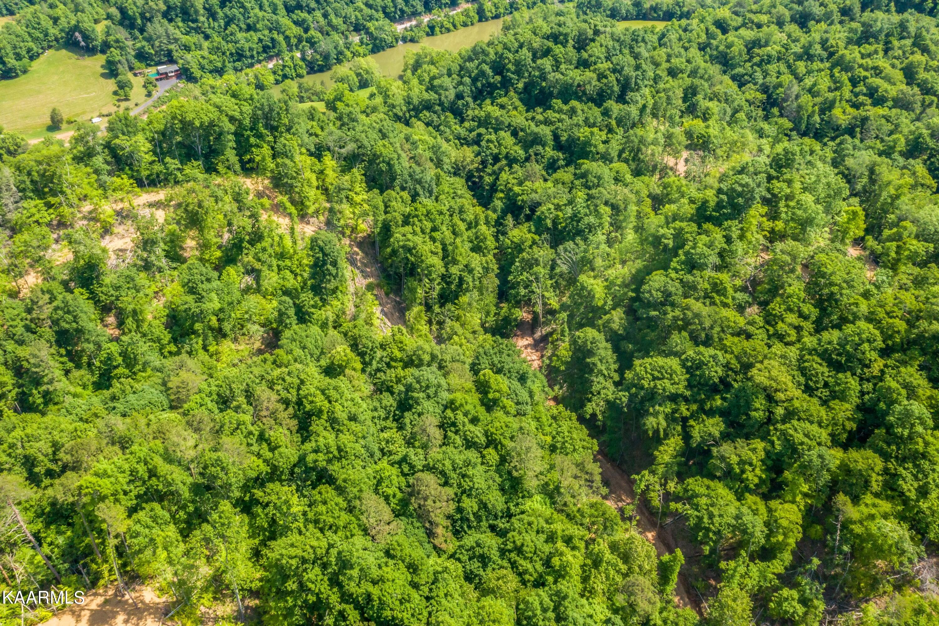 Exterior-11-SMALL - 57 Acres Off Hwy 33 Track 1, Tazewell, TN 37879, Tazewell