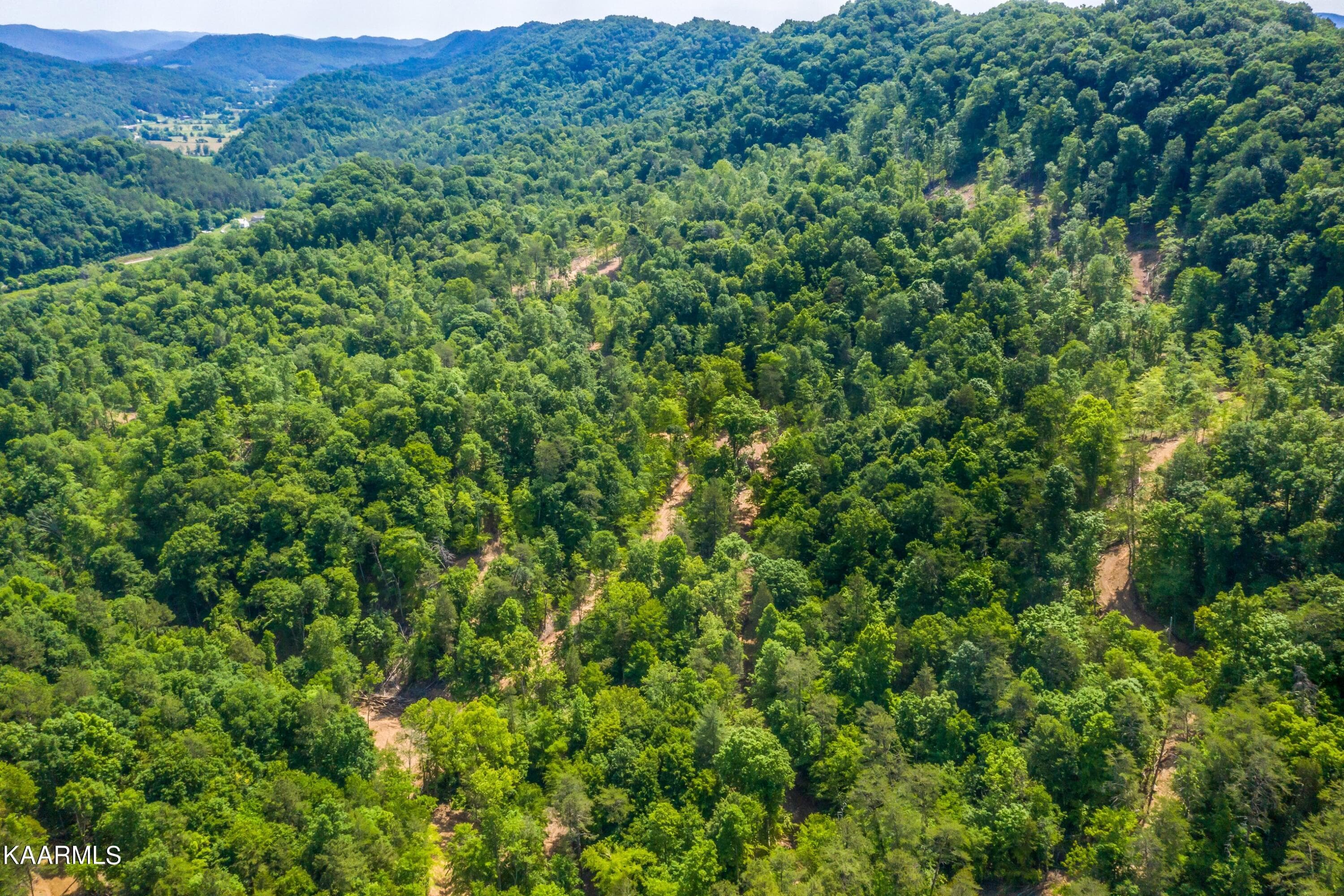 Exterior-9-SMALL - 57 Acres Off Hwy 33 Track 1, Tazewell, TN 37879, Tazewell