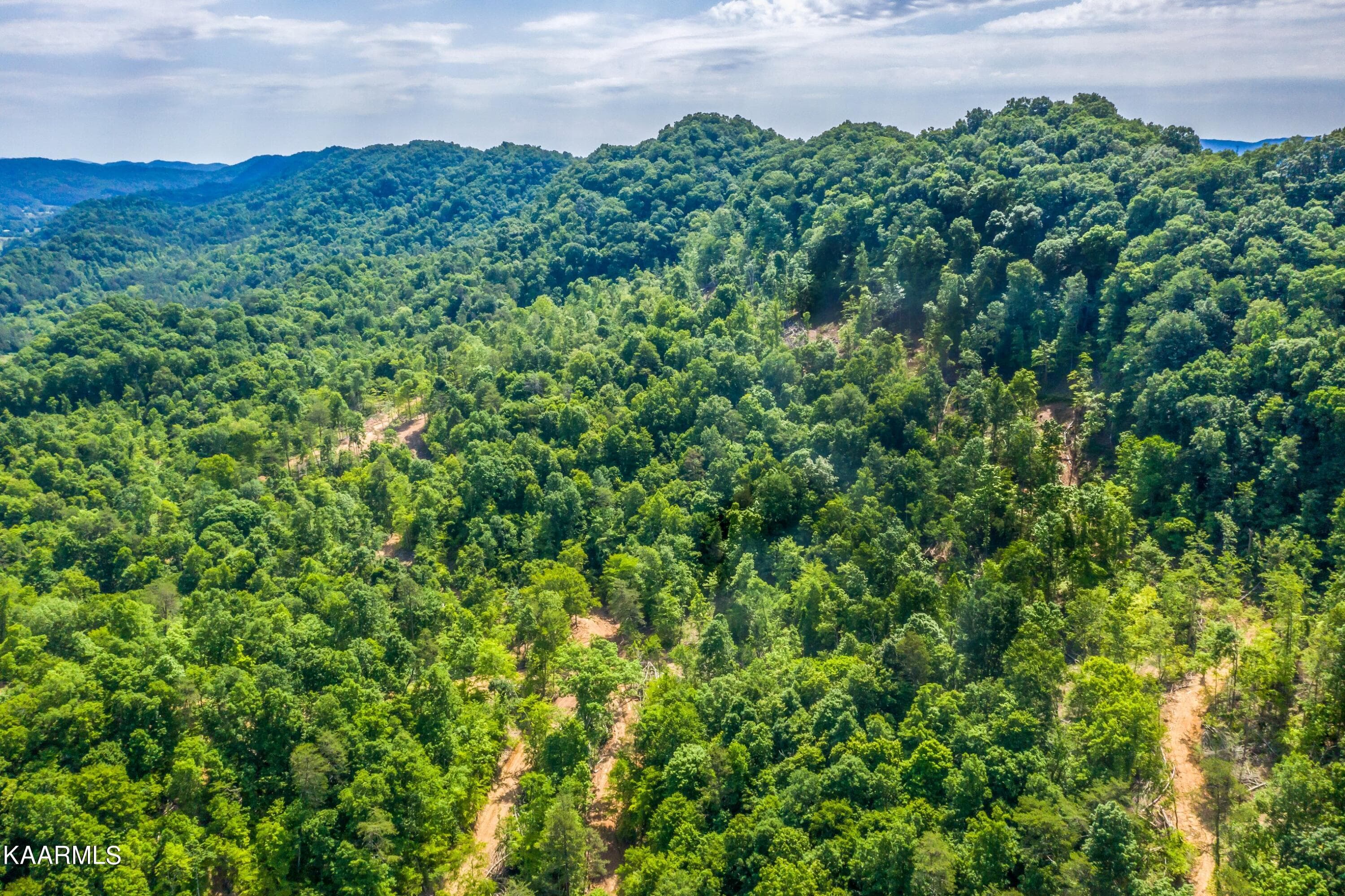 Exterior-10-SMALL - 57 Acres Off Hwy 33 Track 1, Tazewell, TN 37879, Tazewell