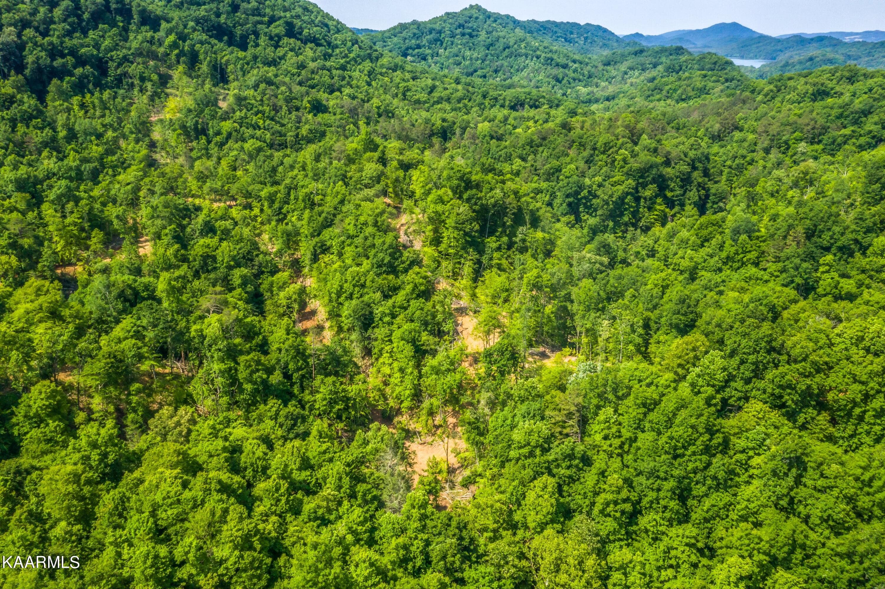 Exterior-2-SMALL - 57 Acres Off Hwy 33 Track 1, Tazewell, TN 37879, Tazewell