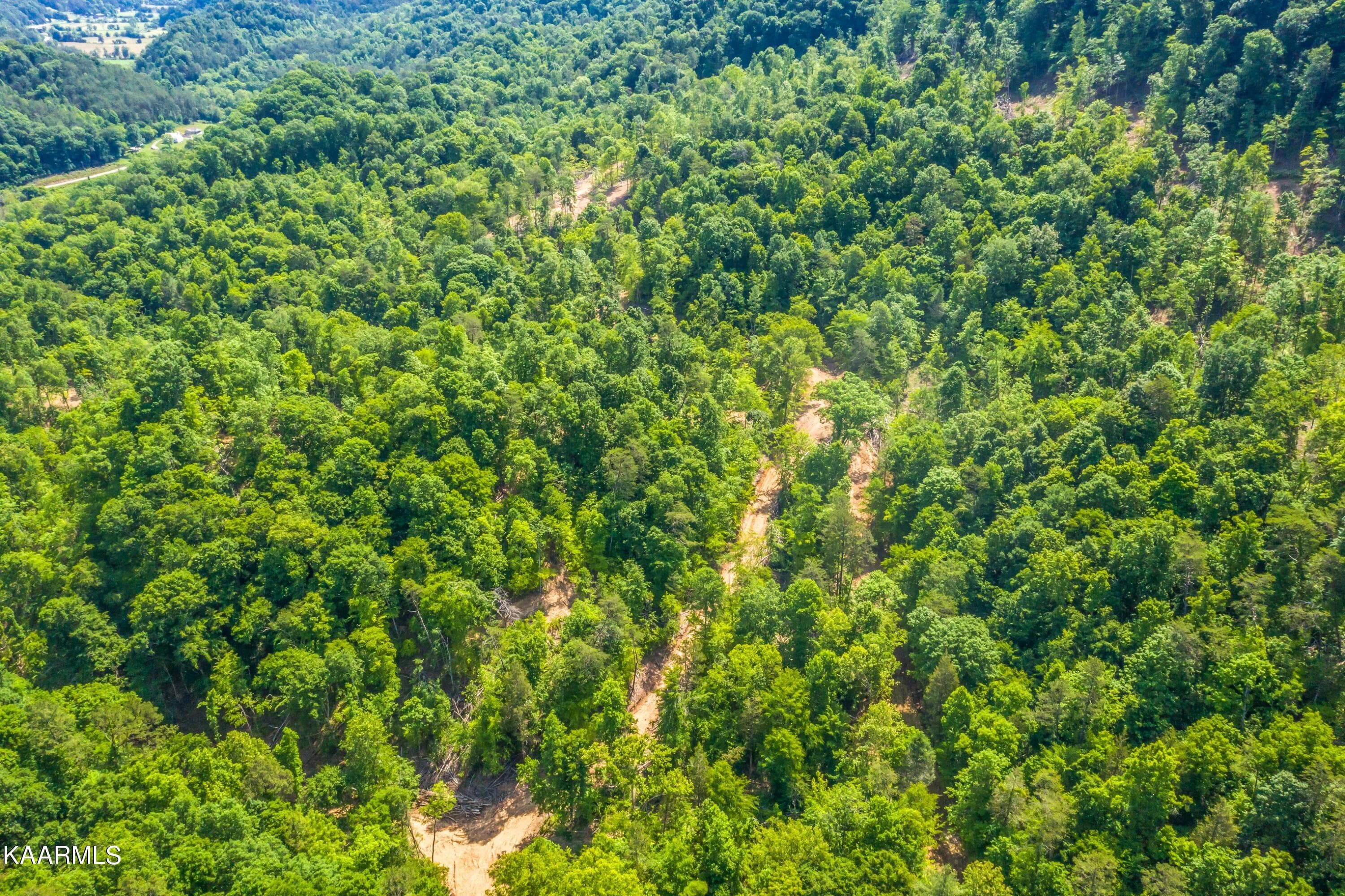 Exterior-7-SMALL - 57 Acres Off Hwy 33 Track 1, Tazewell, TN 37879, Tazewell