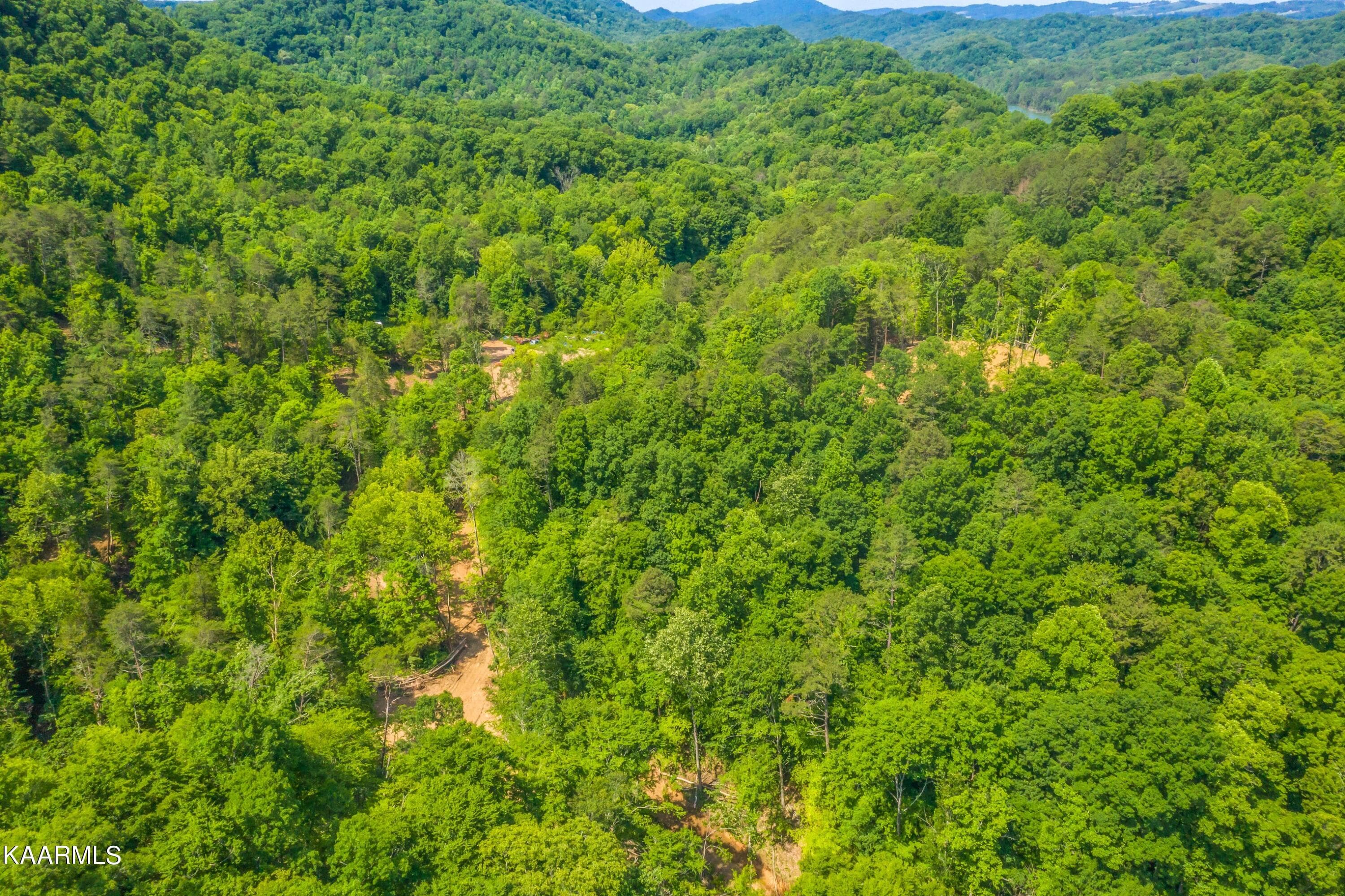 Exterior-27-SMALL 2 - 57 Acres Off Hwy 33 Track 2, Tazewell, TN 37879, Tazewell