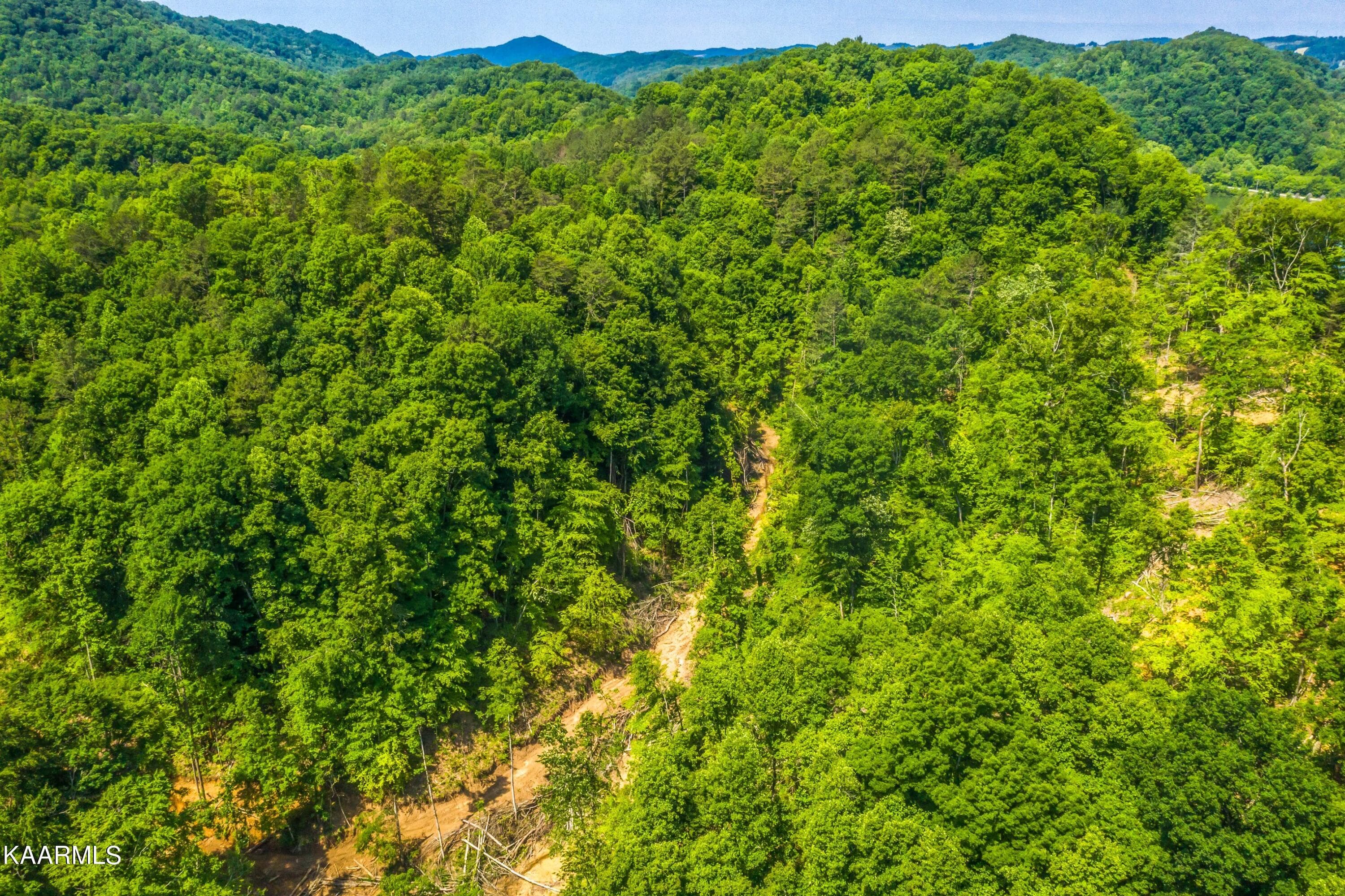 Exterior-24-SMALL - 57 Acres Off Hwy 33 Track 2, Tazewell, TN 37879, Tazewell