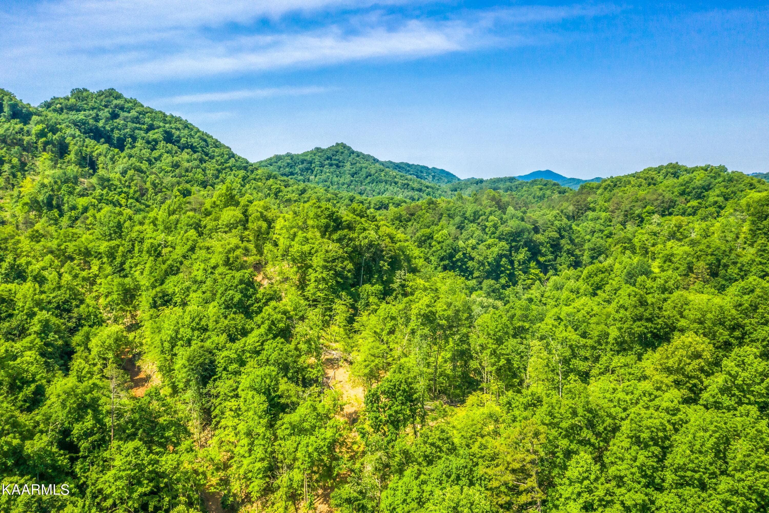 Exterior-23-SMALL - 57 Acres Off Hwy 33 Track 2, Tazewell, TN 37879, Tazewell