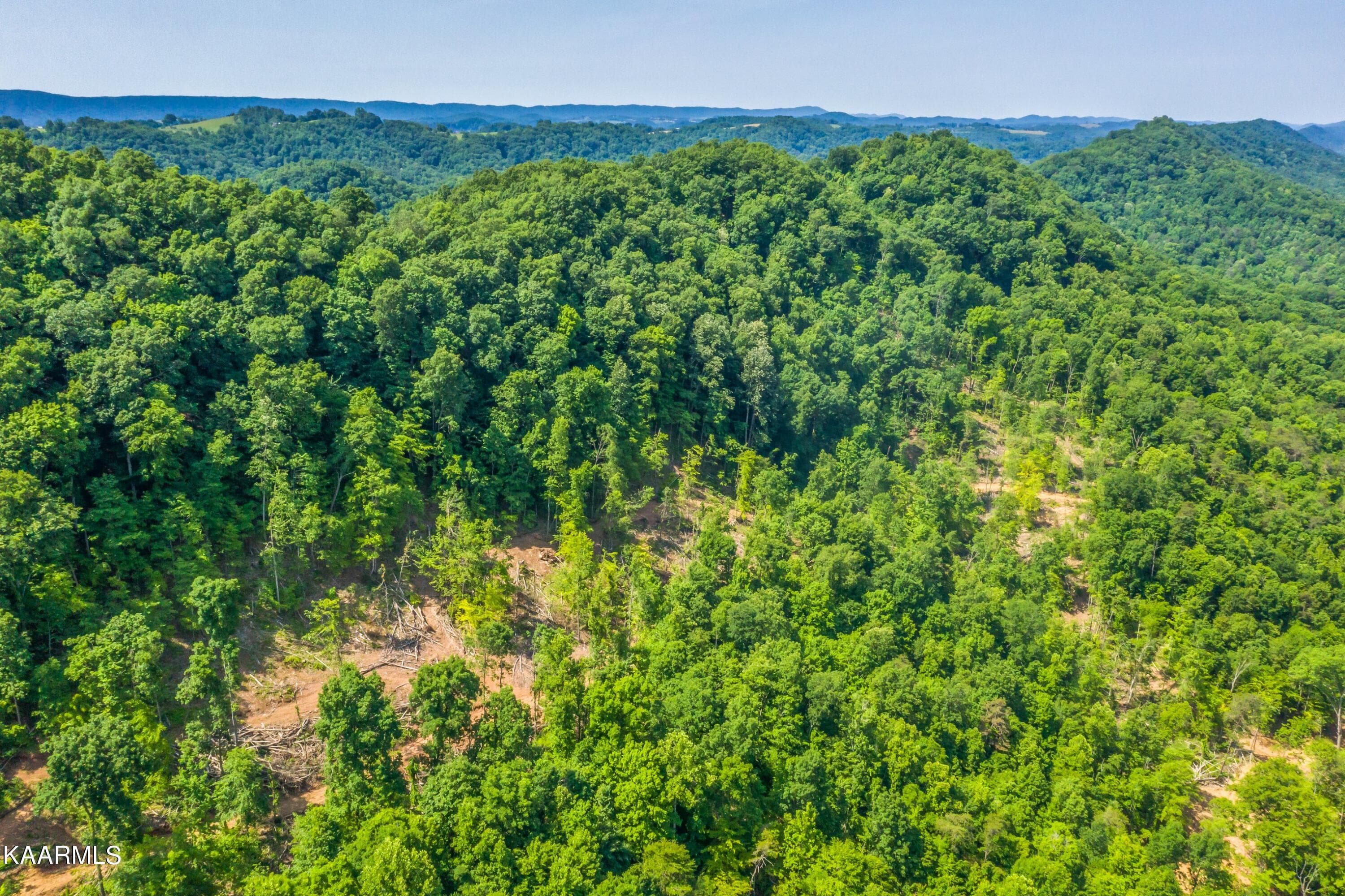 Exterior-18-SMALL - 57 Acres Off Hwy 33 Track 2, Tazewell, TN 37879, Tazewell