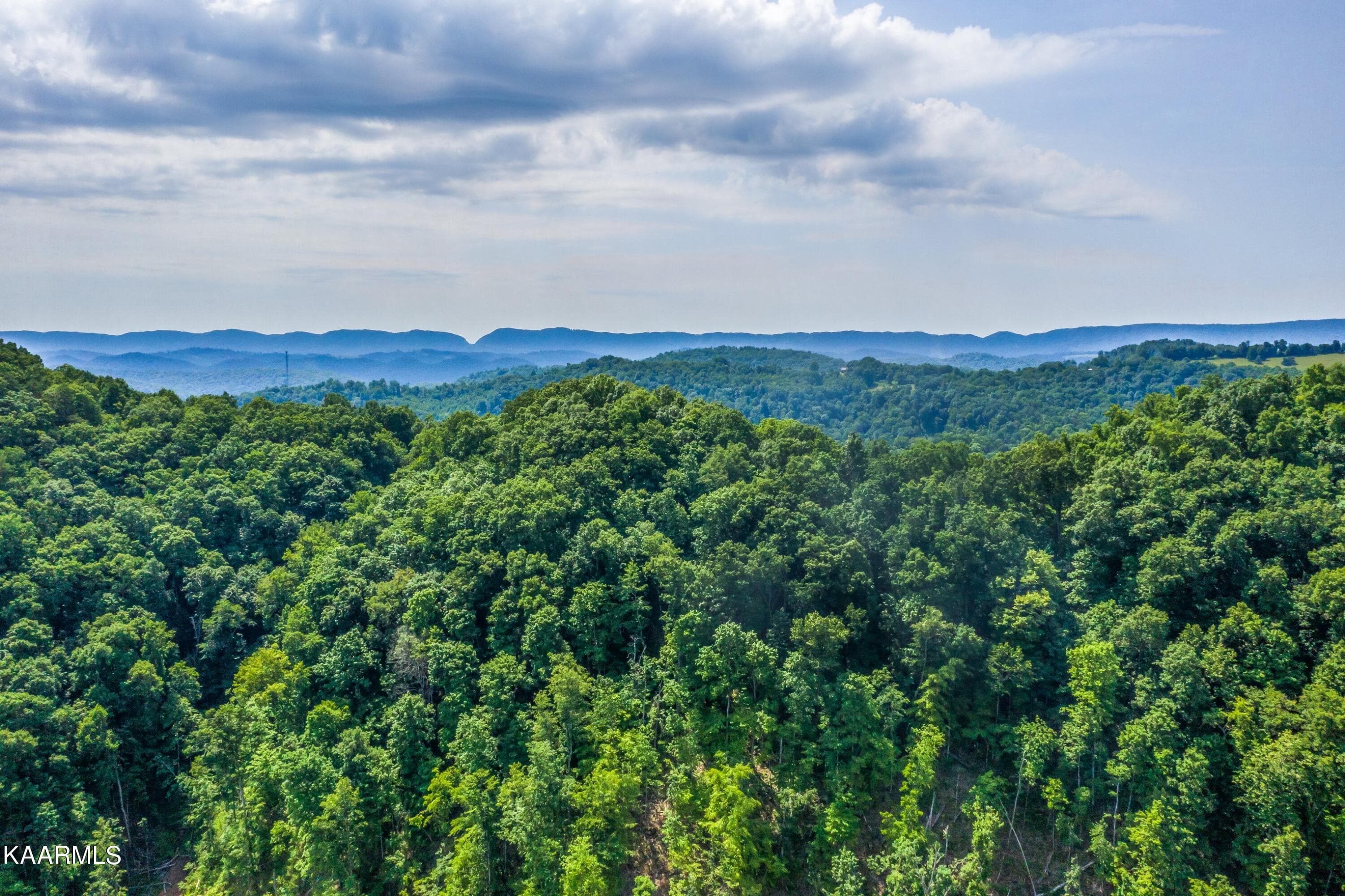 Exterior-17-SMALL - 57 Acres Off Hwy 33 Track 2, Tazewell, TN 37879, Tazewell