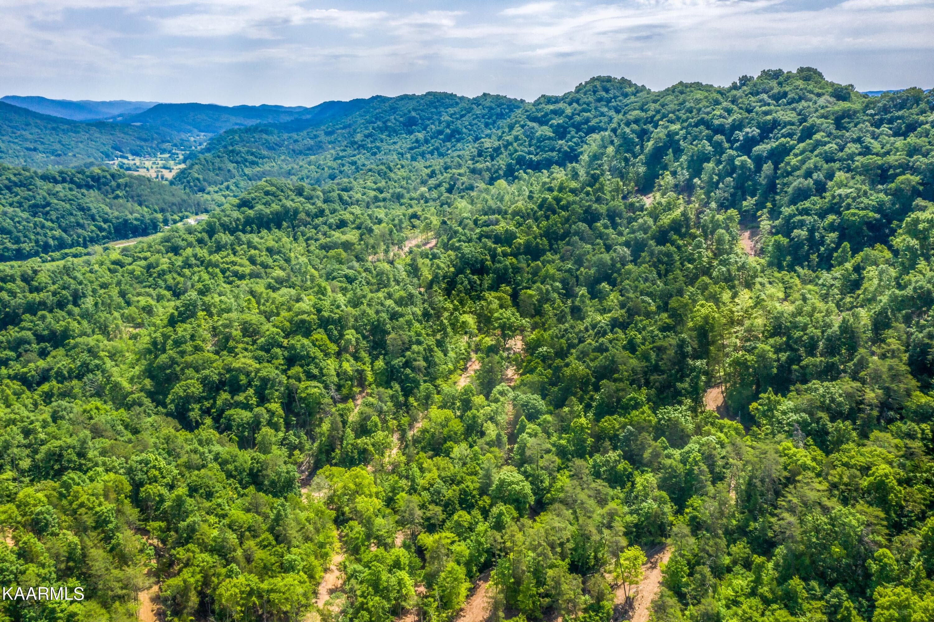 Exterior-8-SMALL - 57 Acres Off Hwy 33 Track 2, Tazewell, TN 37879, Tazewell