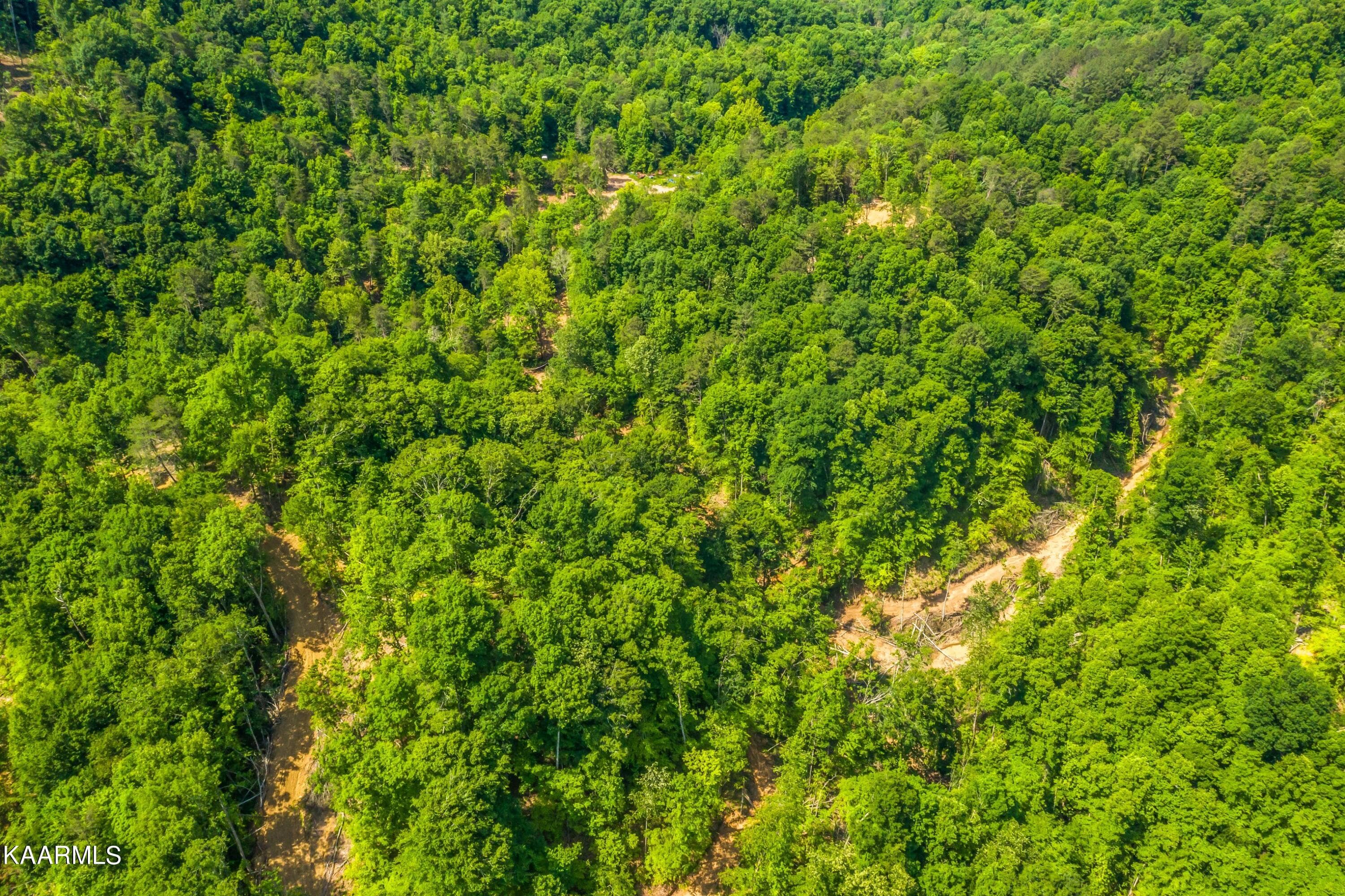 Exterior-4-SMALL - 57 Acres Off Hwy 33 Track 2, Tazewell, TN 37879, Tazewell