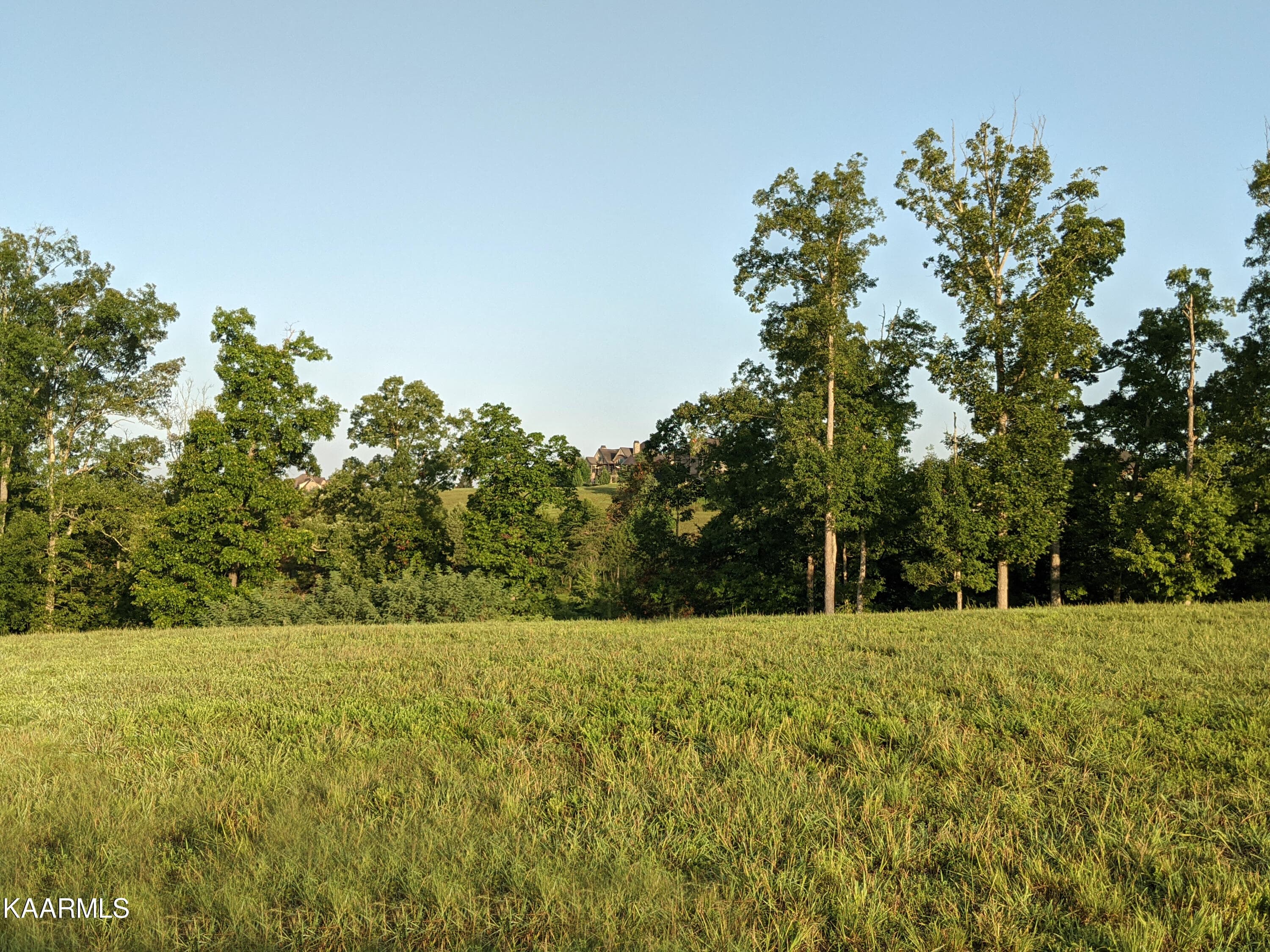 Lot 313-Bower Court-frontage2 - 898 Bower Court, Lenoir City, TN 37772, Lenoir City