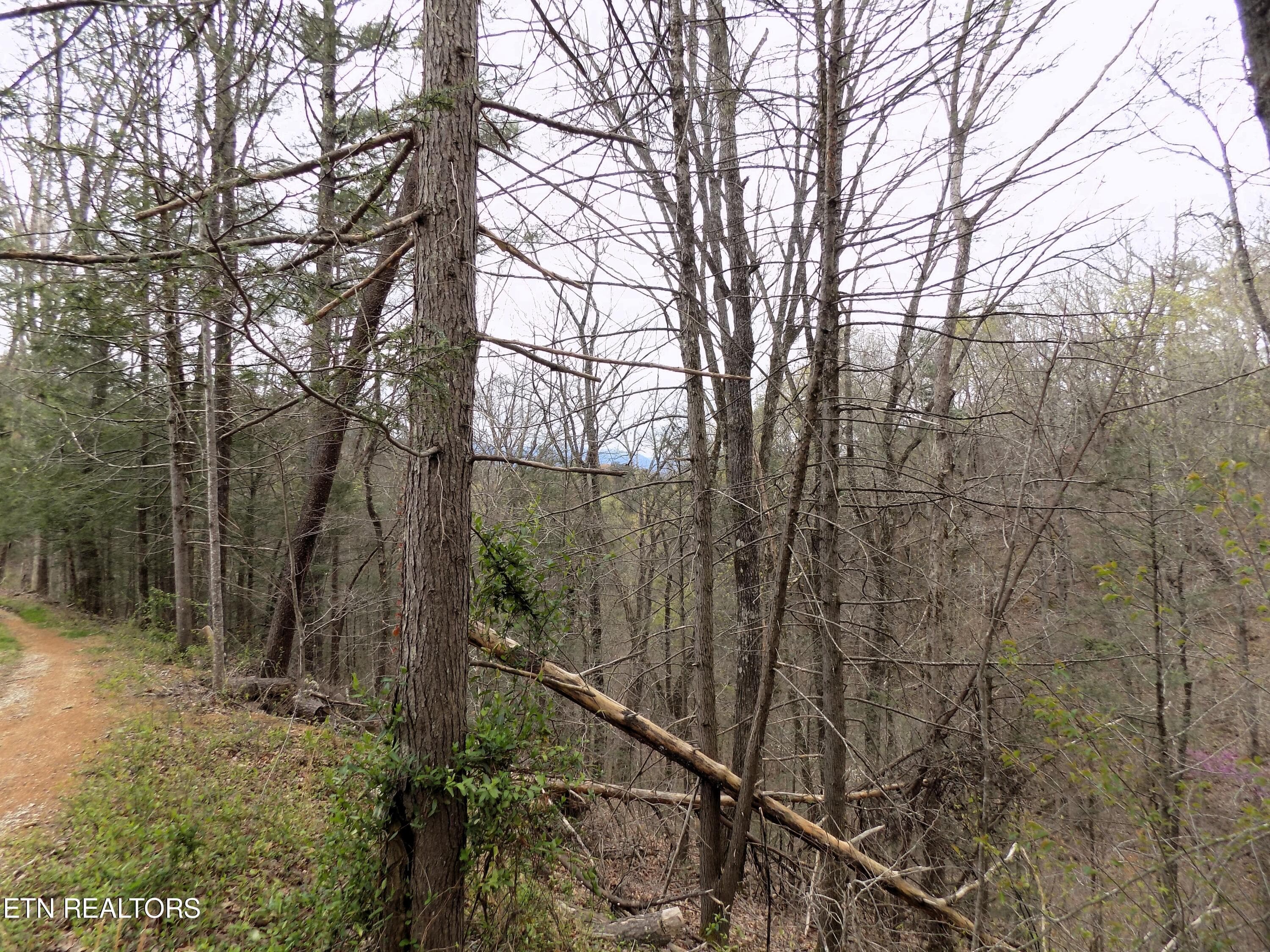 Mountain Views - Par 001.08 Mountain Shadow Way, Cosby, TN 37722, Cosby