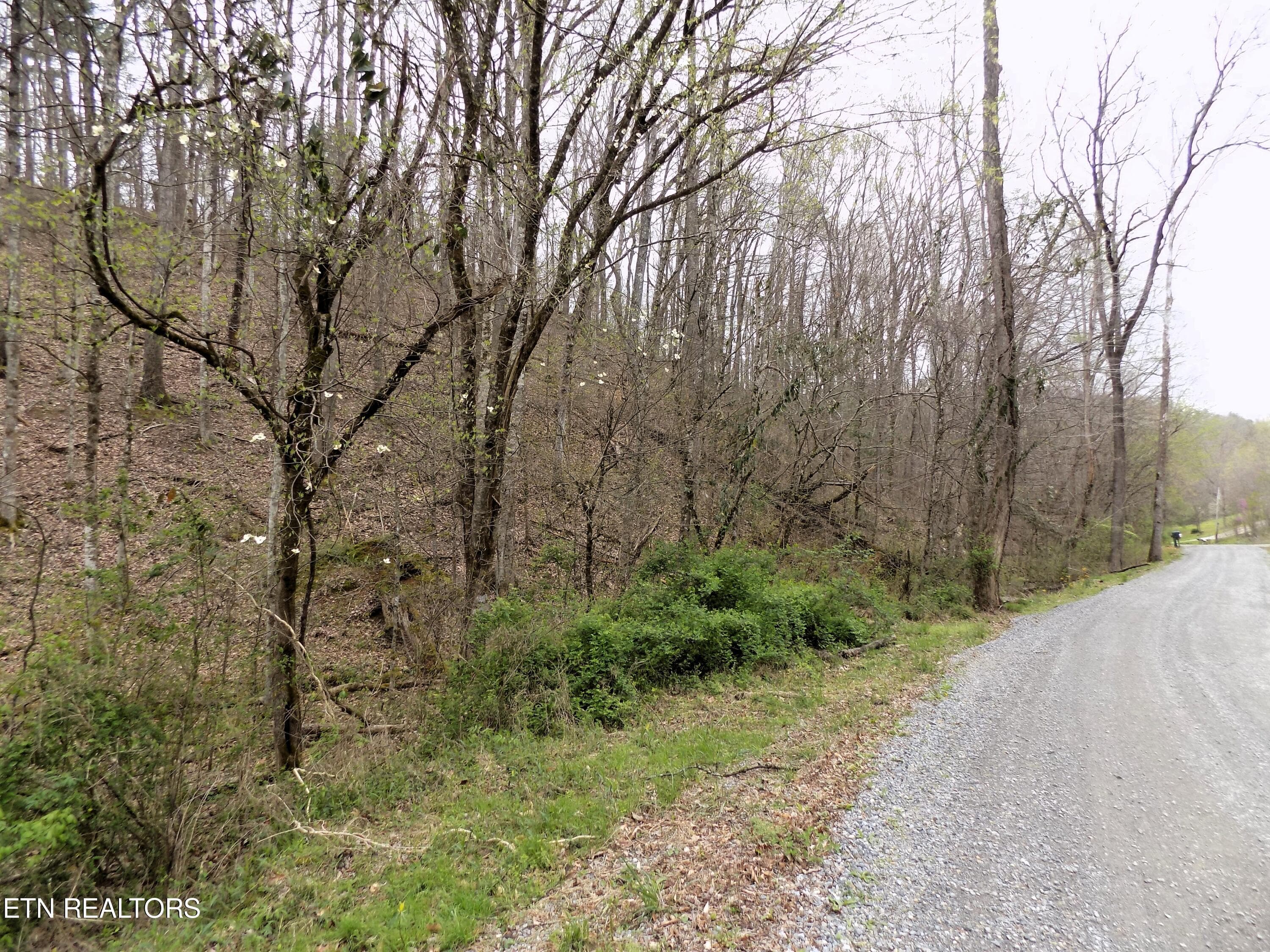 Lot 85 Rd Frontage - Par 001.08 Mountain Shadow Way, Cosby, TN 37722, Cosby