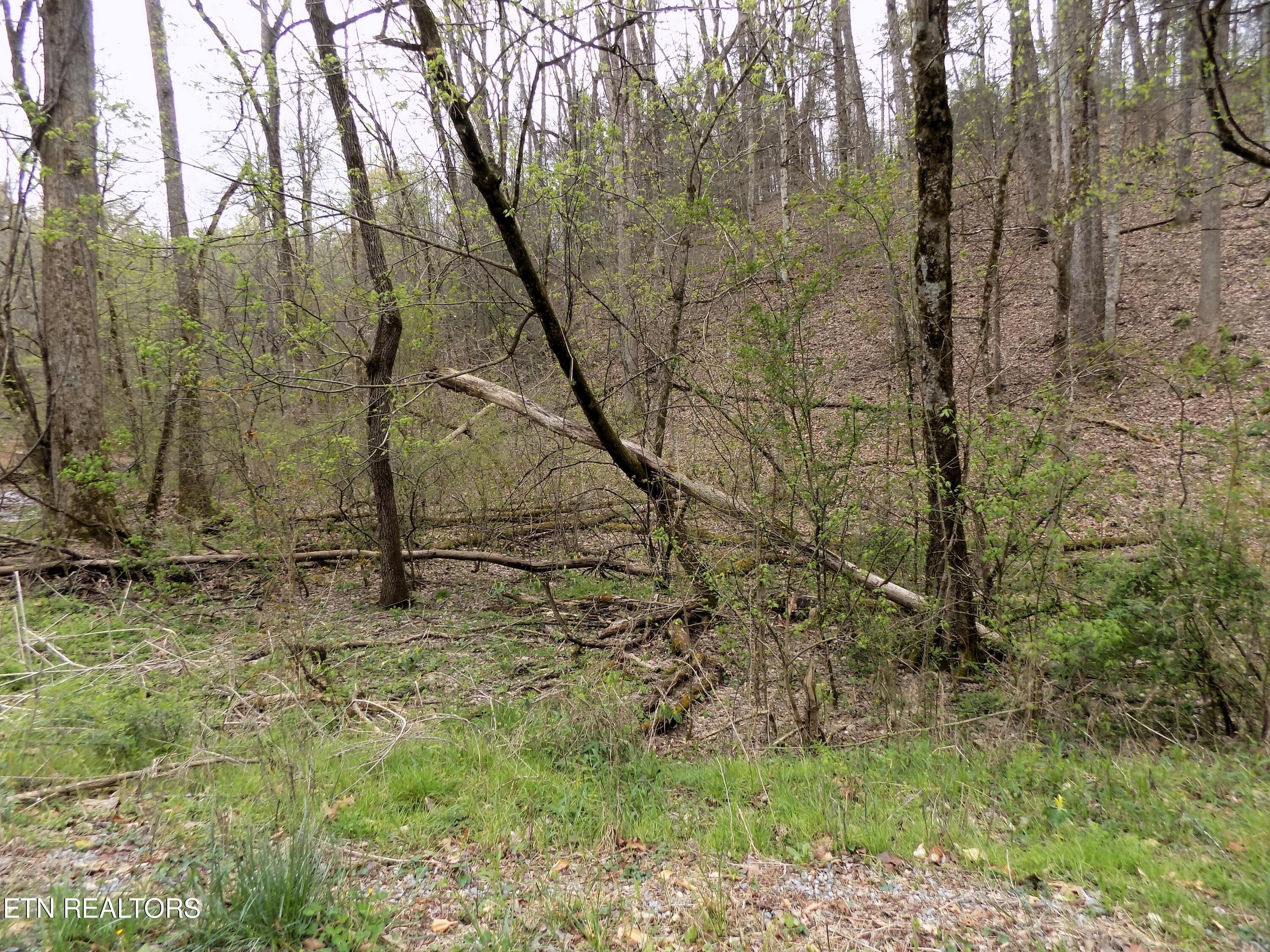 Lot 85 Rd Frontage - Par 001.08 Mountain Shadow Way, Cosby, TN 37722, Cosby