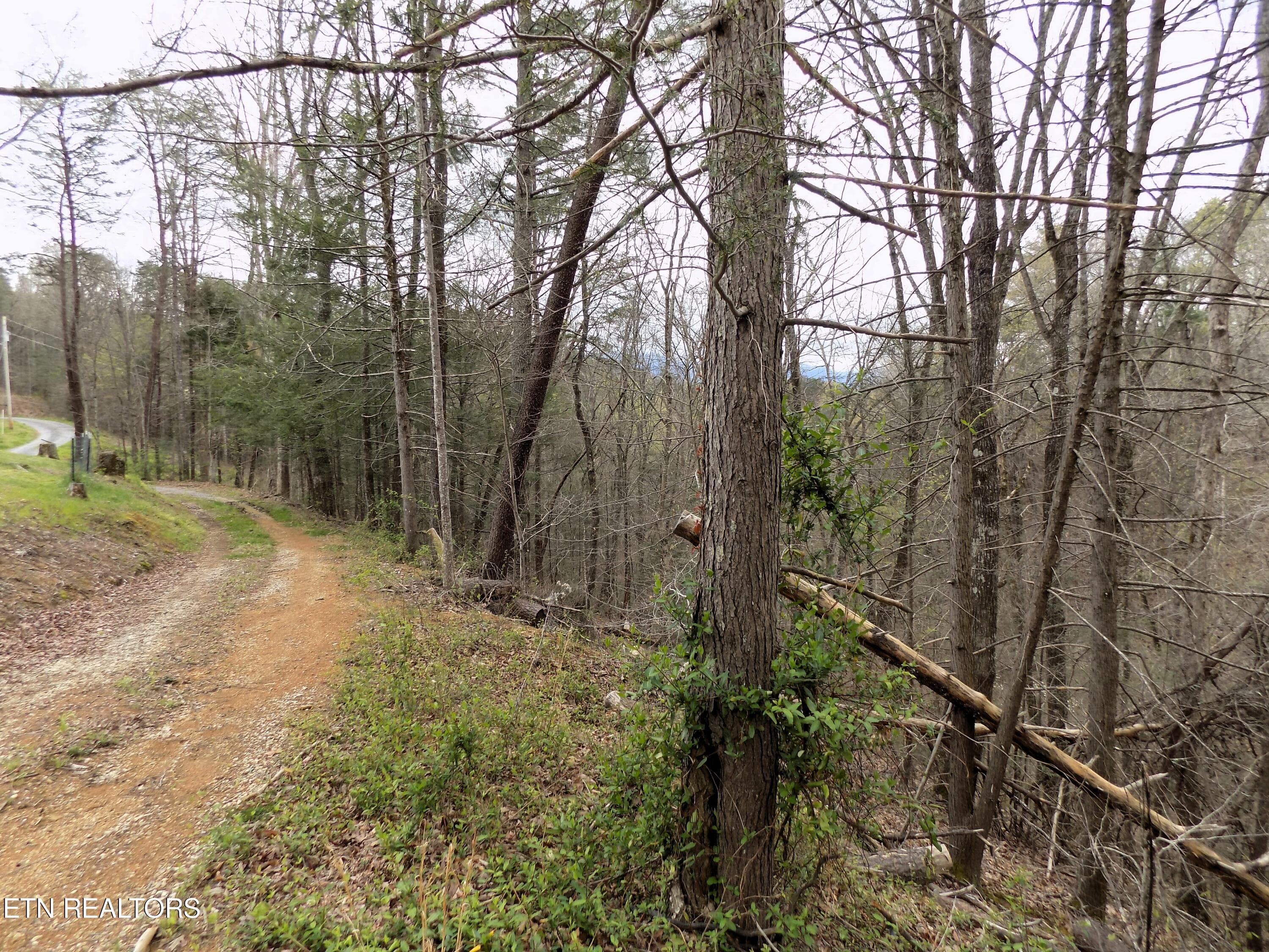 Mtn Shadow Rd Frontage - Par 001.08 Mountain Shadow Way, Cosby, TN 37722, Cosby