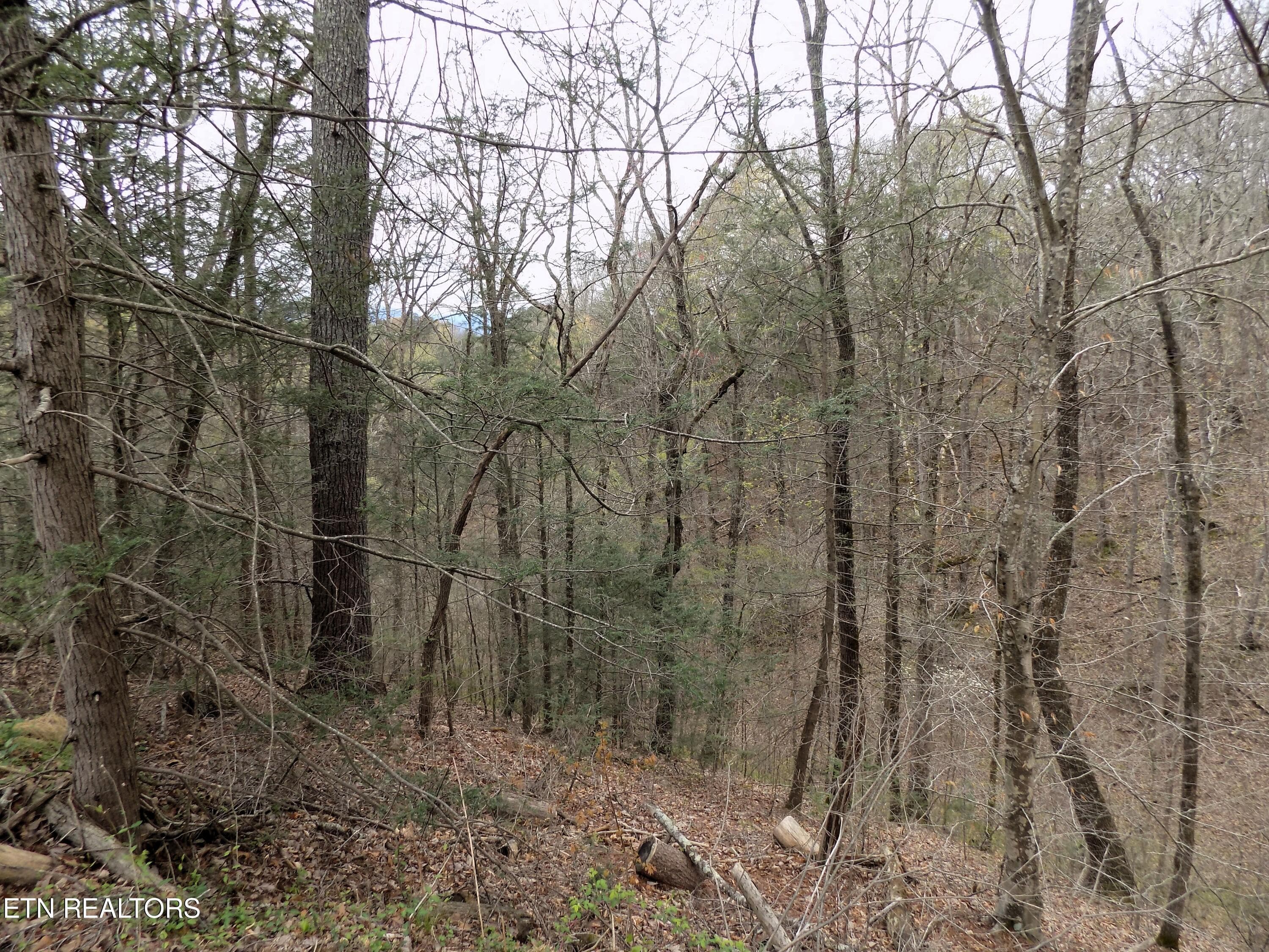 Wooded Acreage - Par 001.08 Mountain Shadow Way, Cosby, TN 37722, Cosby