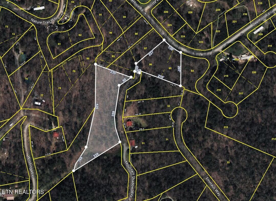 2 Parcels - Par 001.08 Mountain Shadow Way, Cosby, TN 37722, Cosby