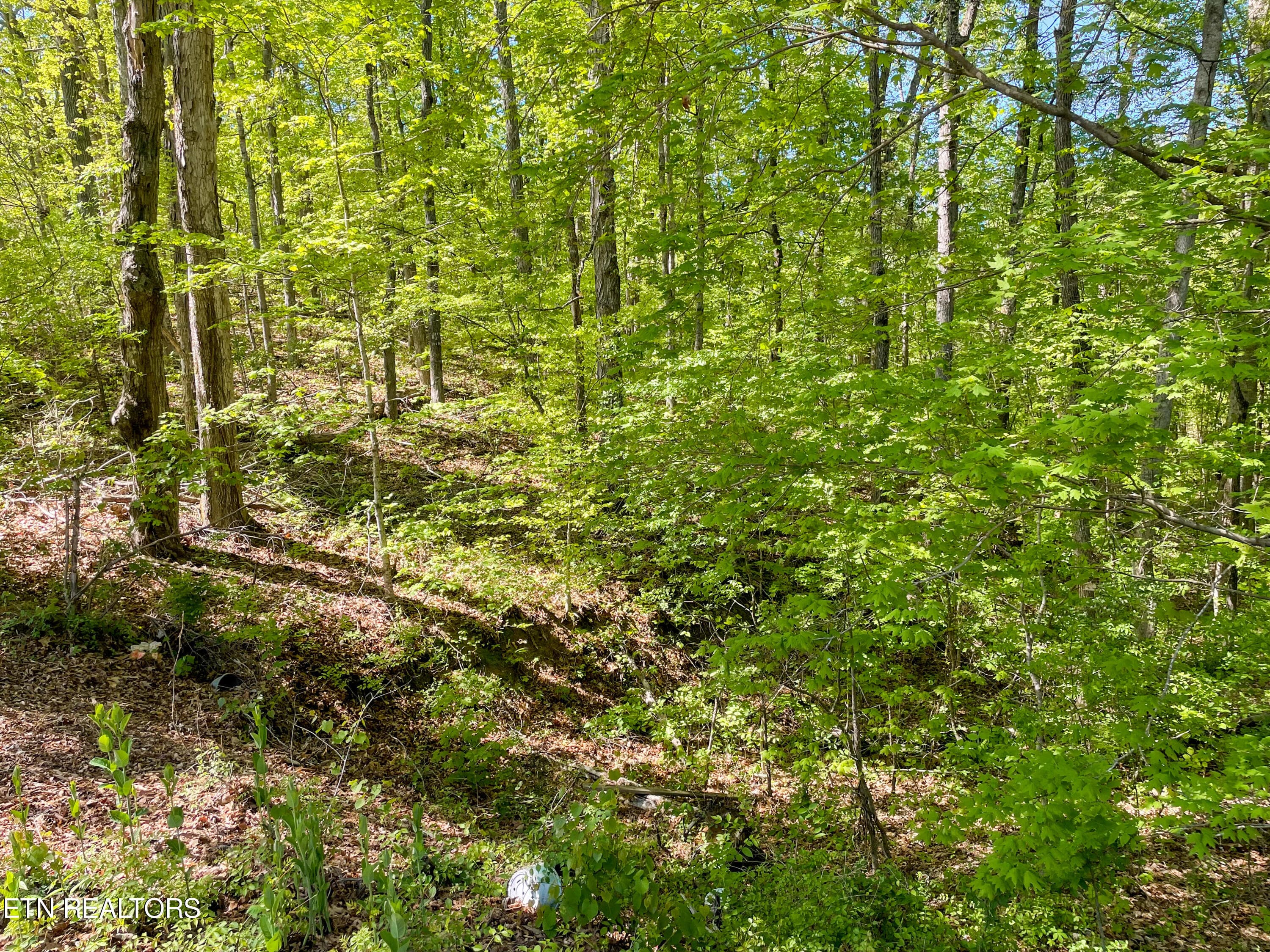 IMG_9522 - Lot 13R1 Pleasure Rd, Sevierville, TN 37876