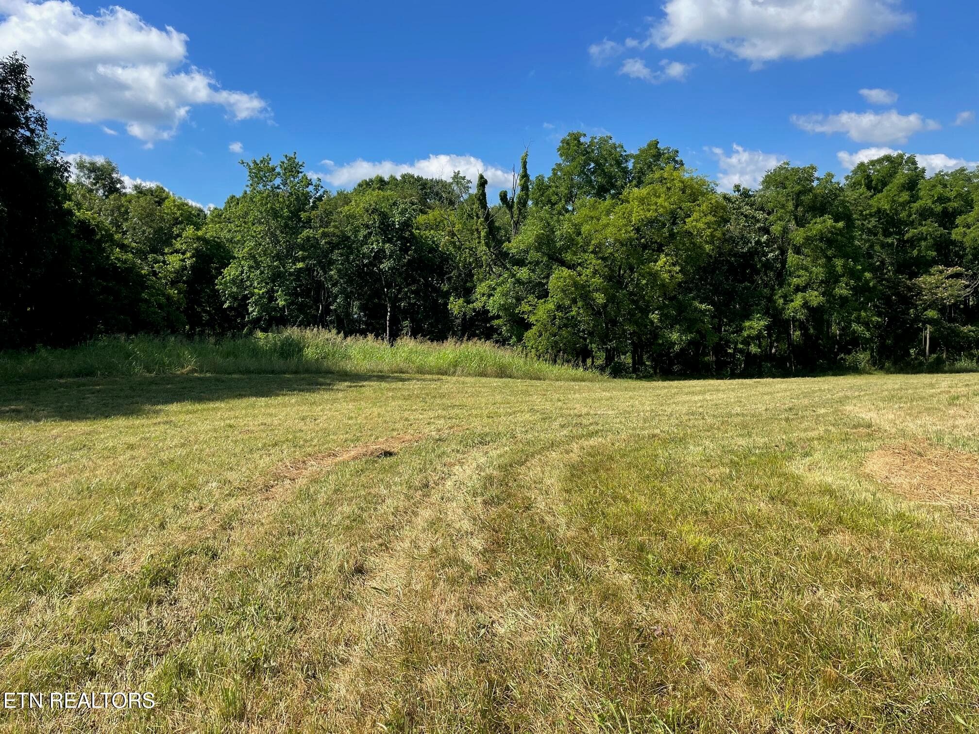 IMG_3107 - 0 Oakland Rd, Sweetwater, TN 37874, Sweetwater