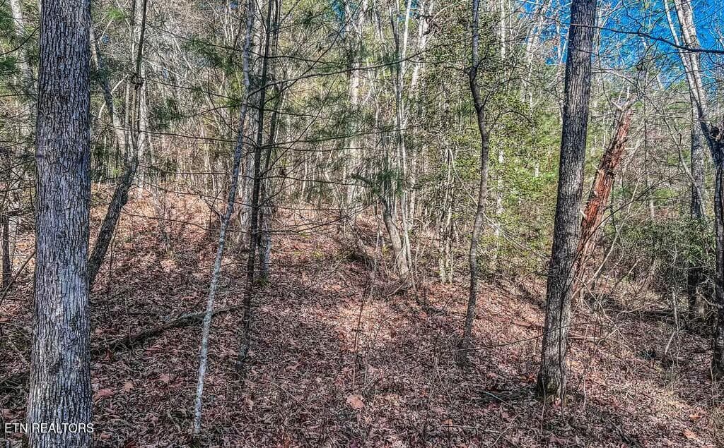 tempImageSgTNna - Nashville Ave, Deer Lodge, TN 37726