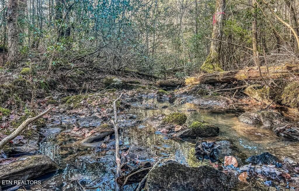 tempImagepIFGa5 - Nashville Ave, Deer Lodge, TN 37726