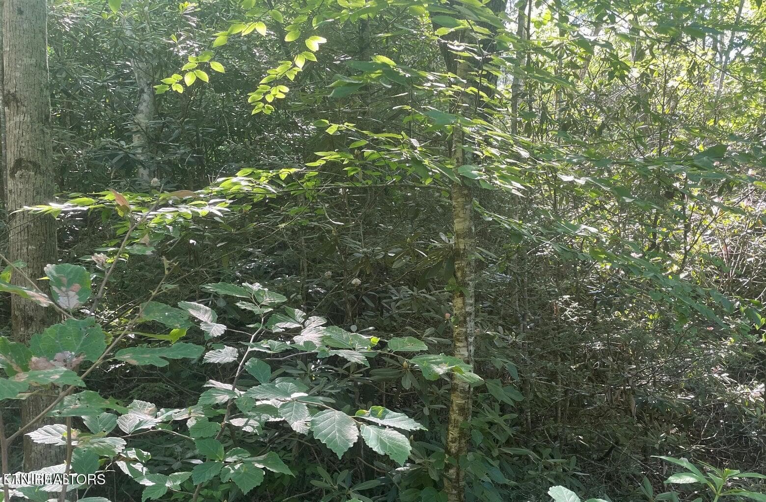 20220628152446663975000000-o - Lot 70 Hazelnut Lane, Sevierville, TN 37876