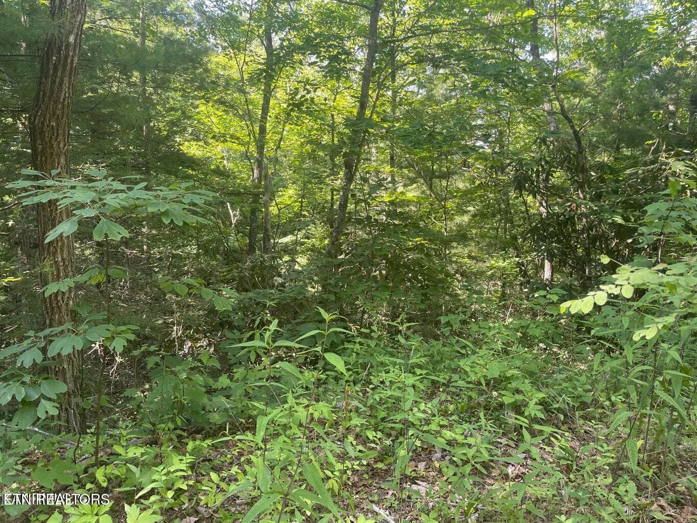 20220622182835341808000000-o - Lot 89 Sycamore St, Sevierville, TN 37876