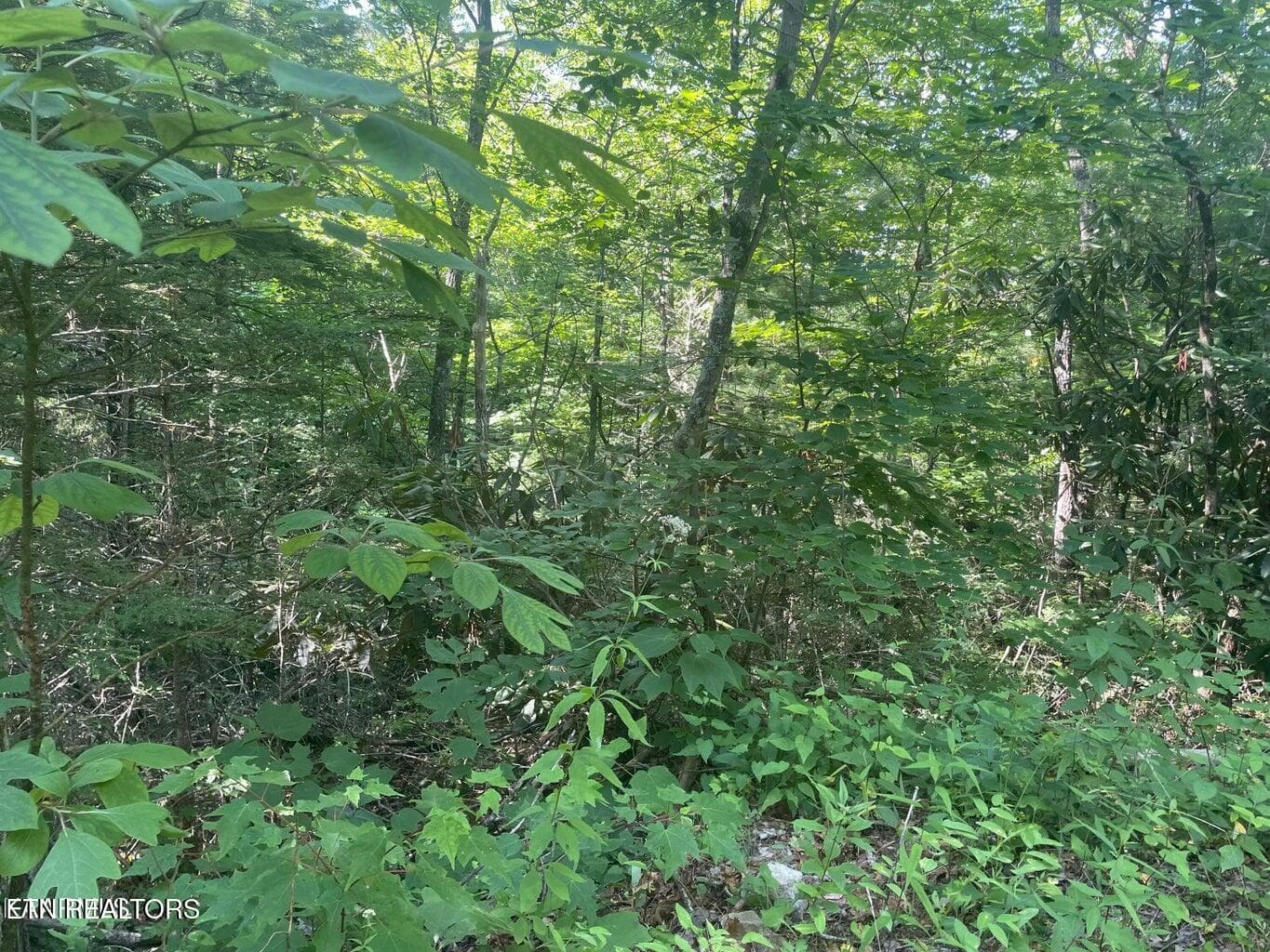 20220622182850880693000000-o - Lot 89 Sycamore St, Sevierville, TN 37876