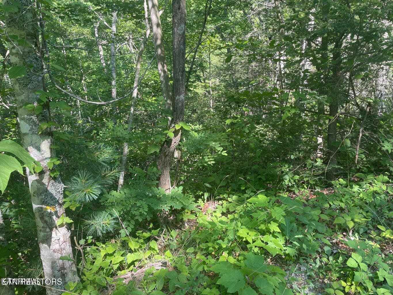 20220622181647045820000000-o - Lot 68 Sycamore St, Sevierville, TN 37876