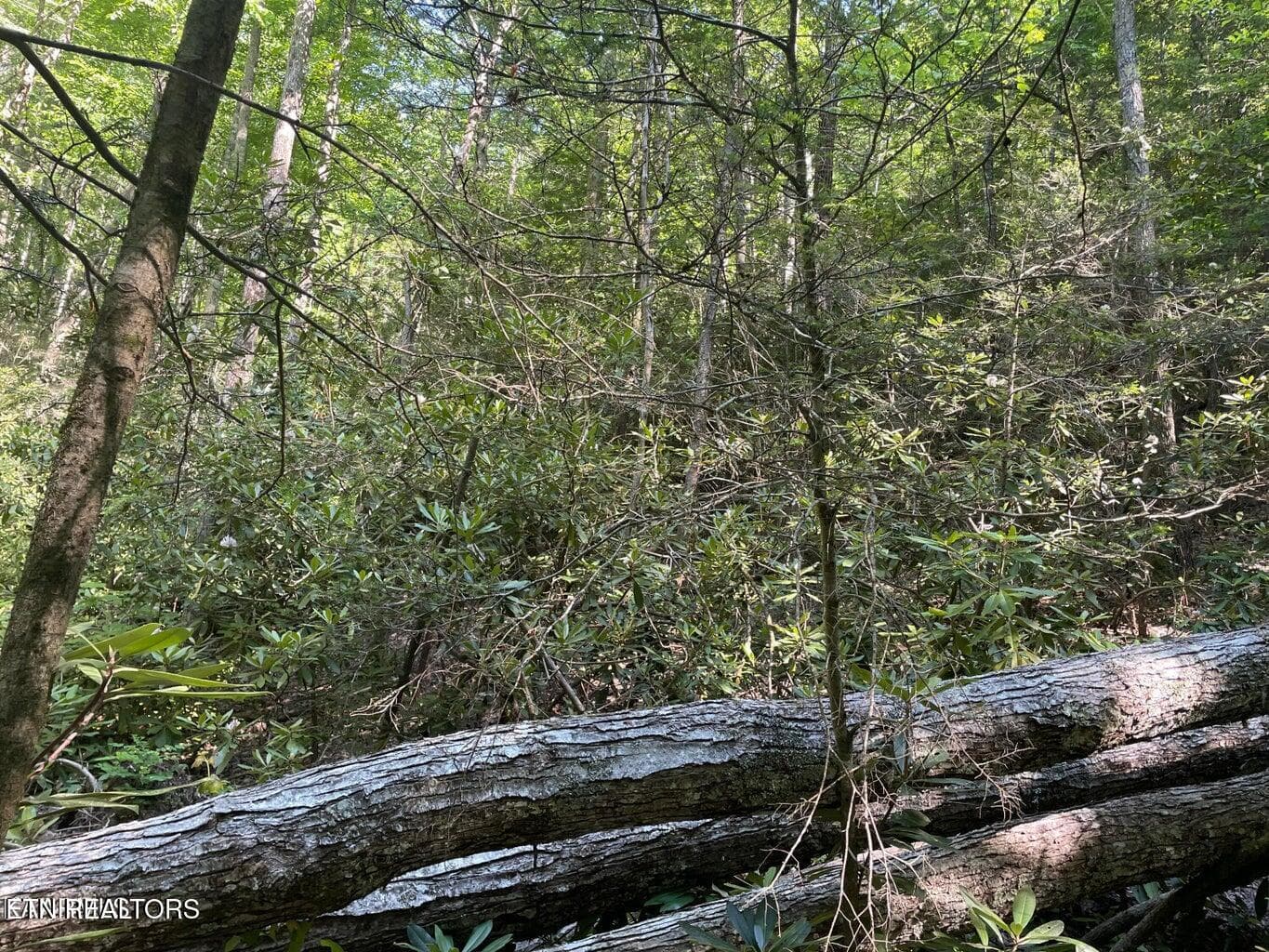 20220622180913546580000000-o - Lot 6 Sycamore St, Sevierville, TN 37876