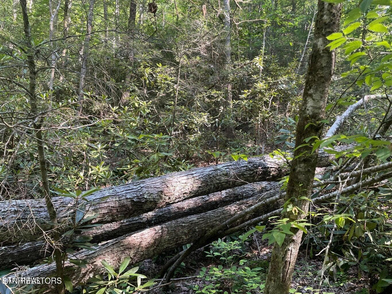 20220622180924711100000000-o - Lot 6 Sycamore St, Sevierville, TN 37876