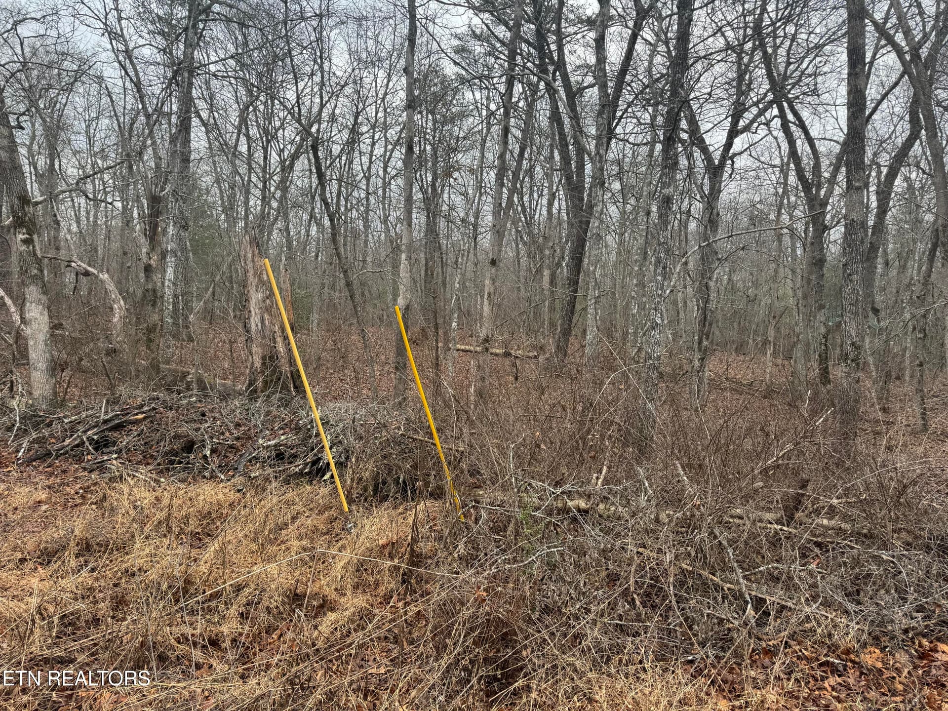 4011 KLAMATH Circle, Crossville, TN 38572