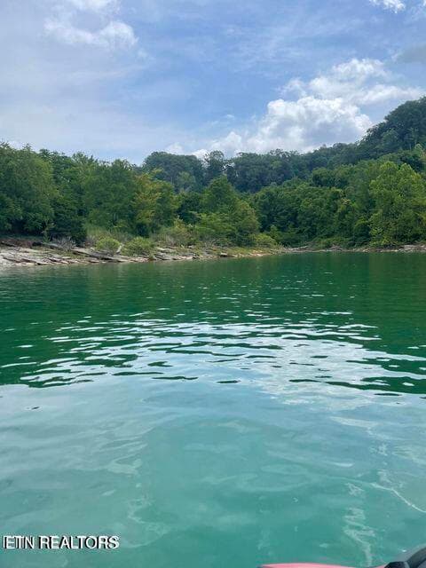 IMG 1649 - lot 585 Russell Brothers Rd, Sharps Chapel, TN 37866, Sharps Chapel