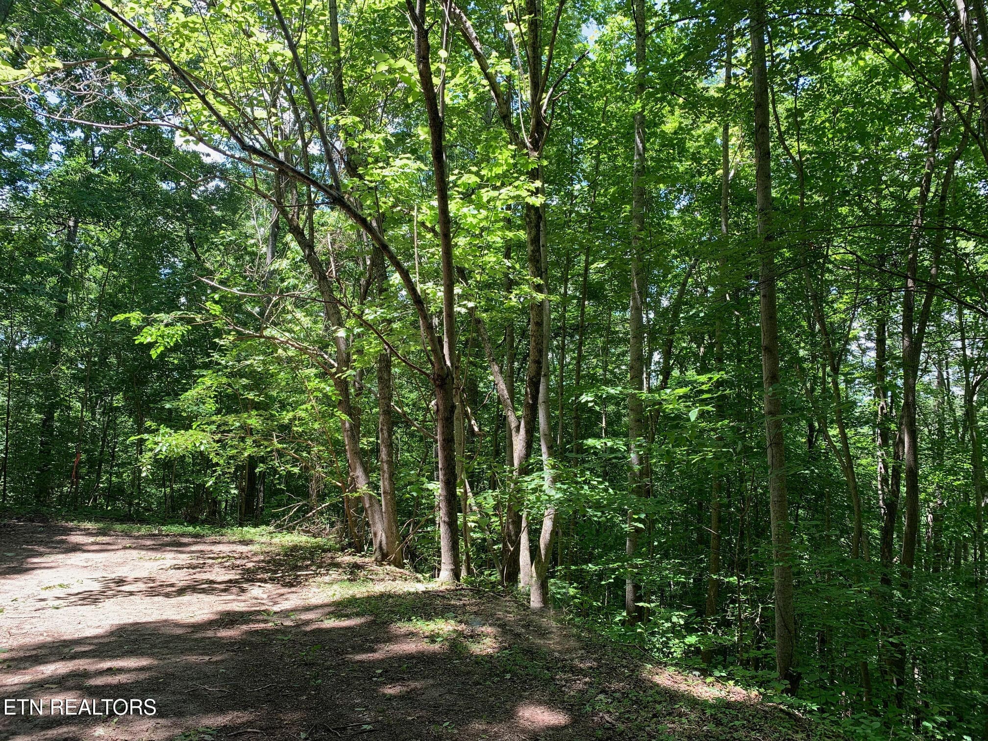8 - S Cove Rd, Maynardville, TN 37807