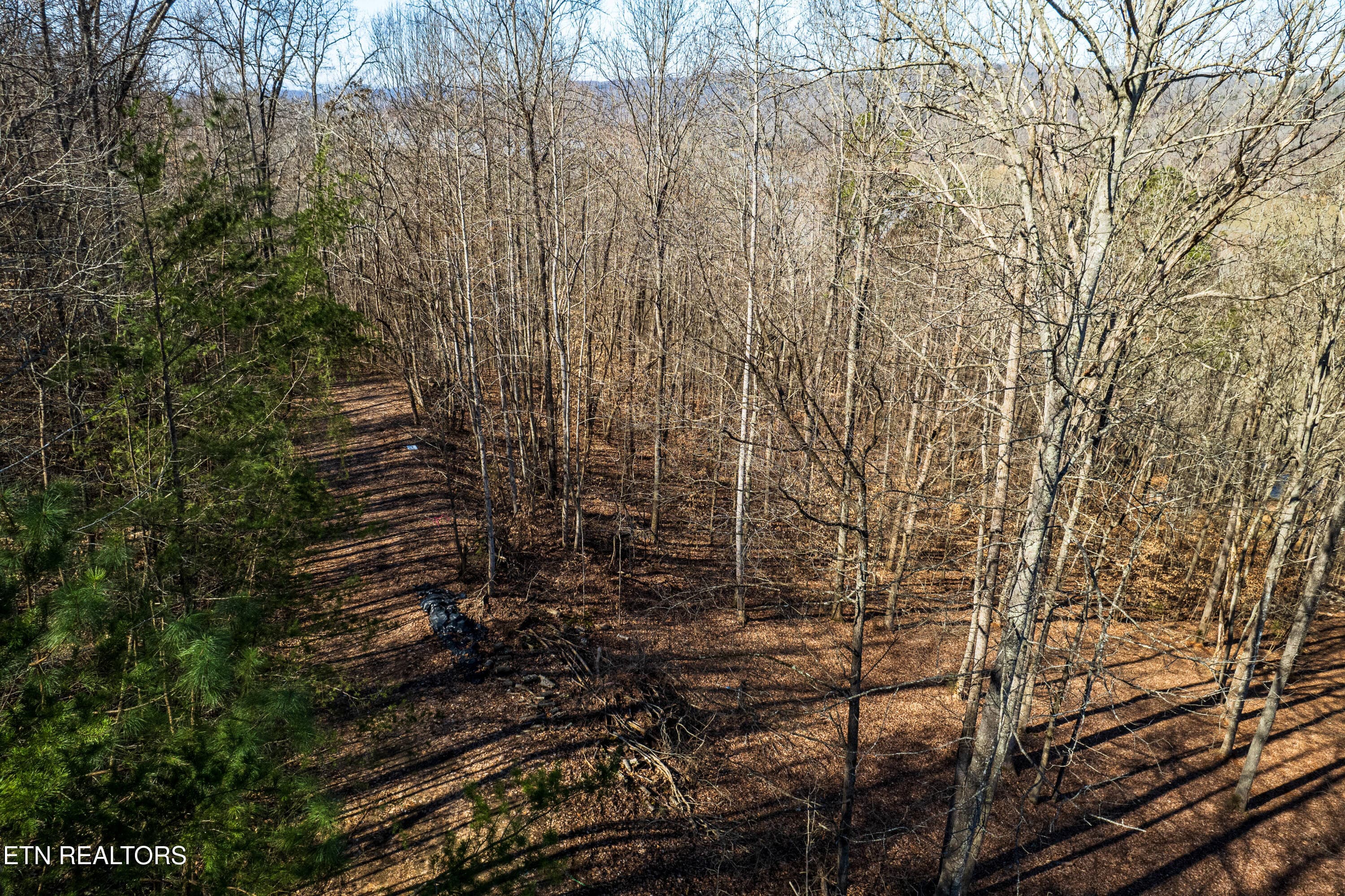 2 - S Cove Rd, Maynardville, TN 37807