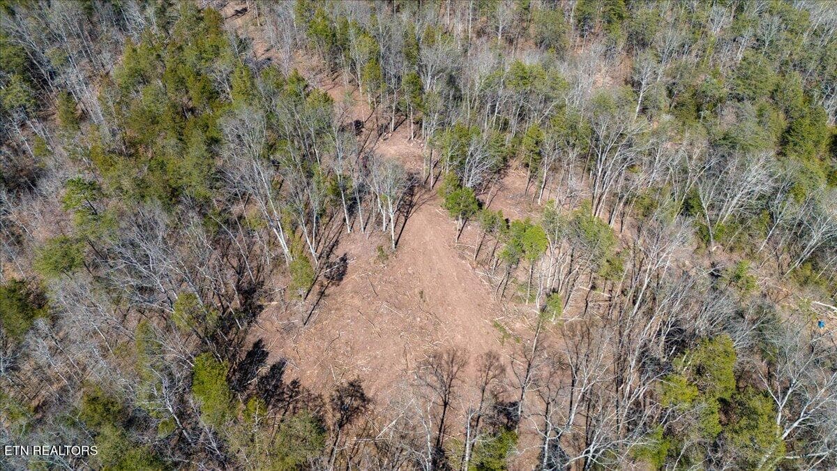 25-Aerial - Wolfenbarger Tract 1, Luttrell, TN 37779