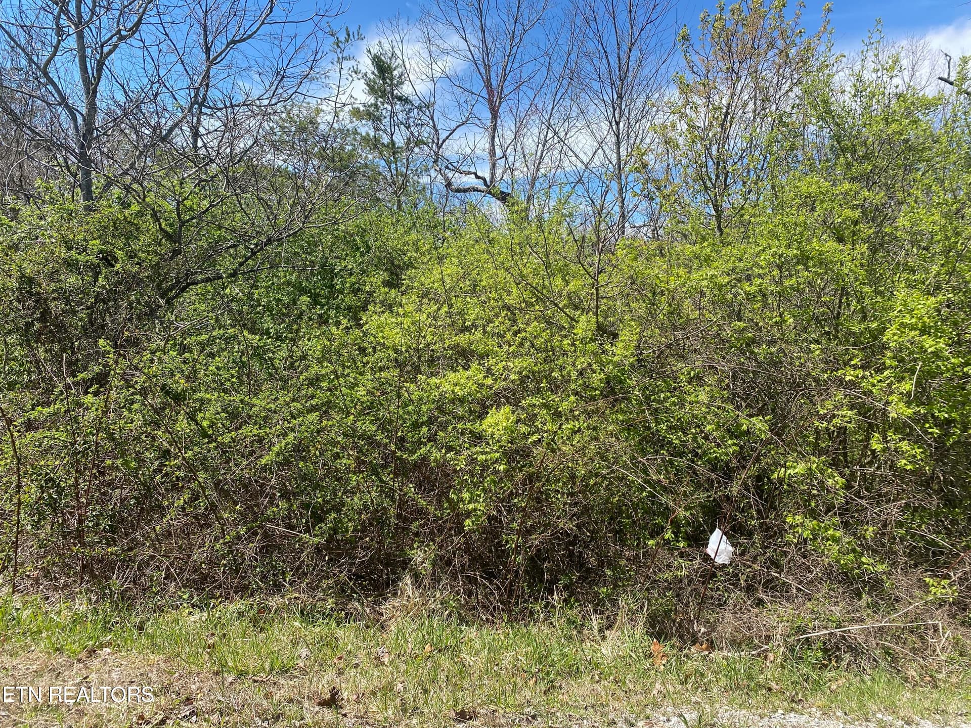 LOT #6 S HWY 127 N, Crossville, TN 38555