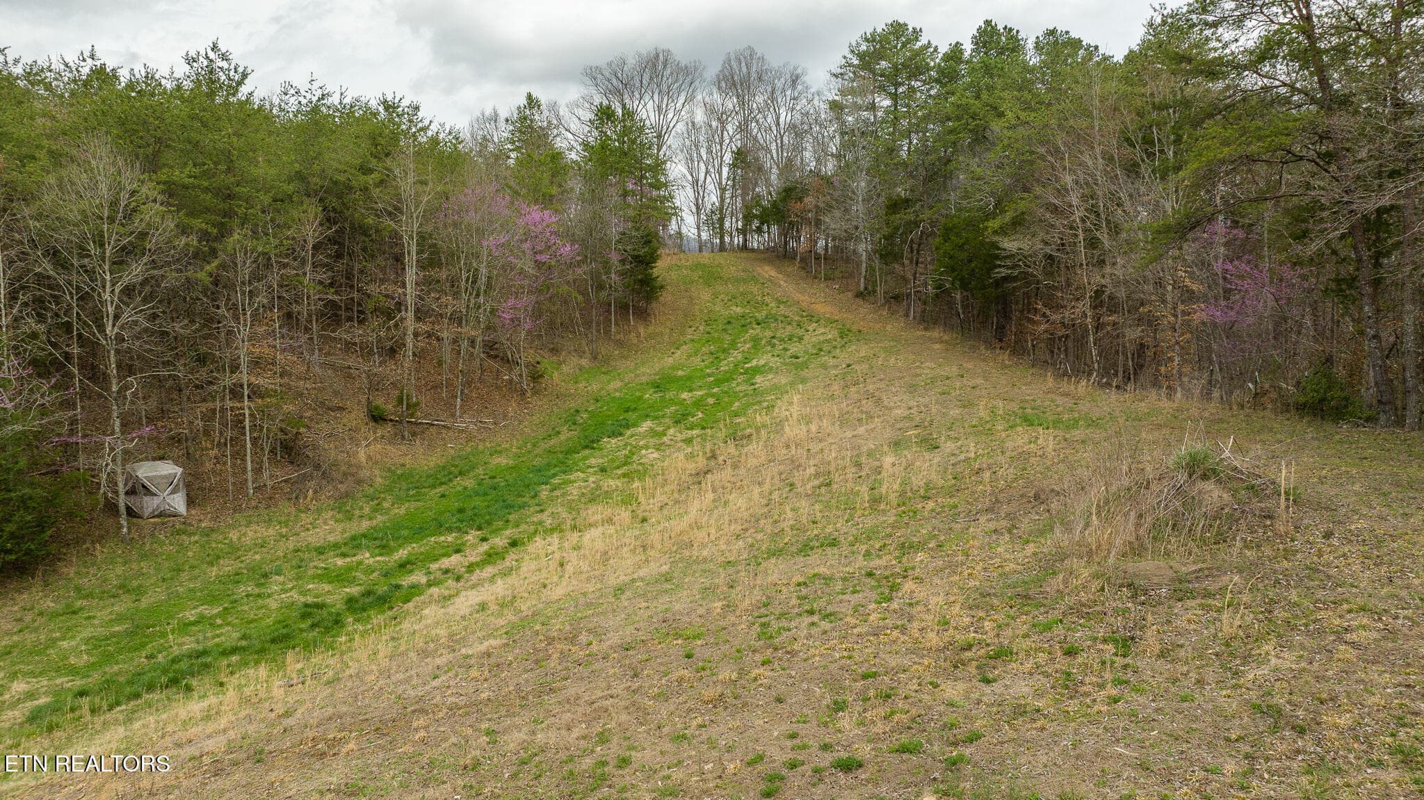 DJI_20250403123708_0903_D - 8651 Tazewell Hwy, Sneedville, TN 37869, Sneedville