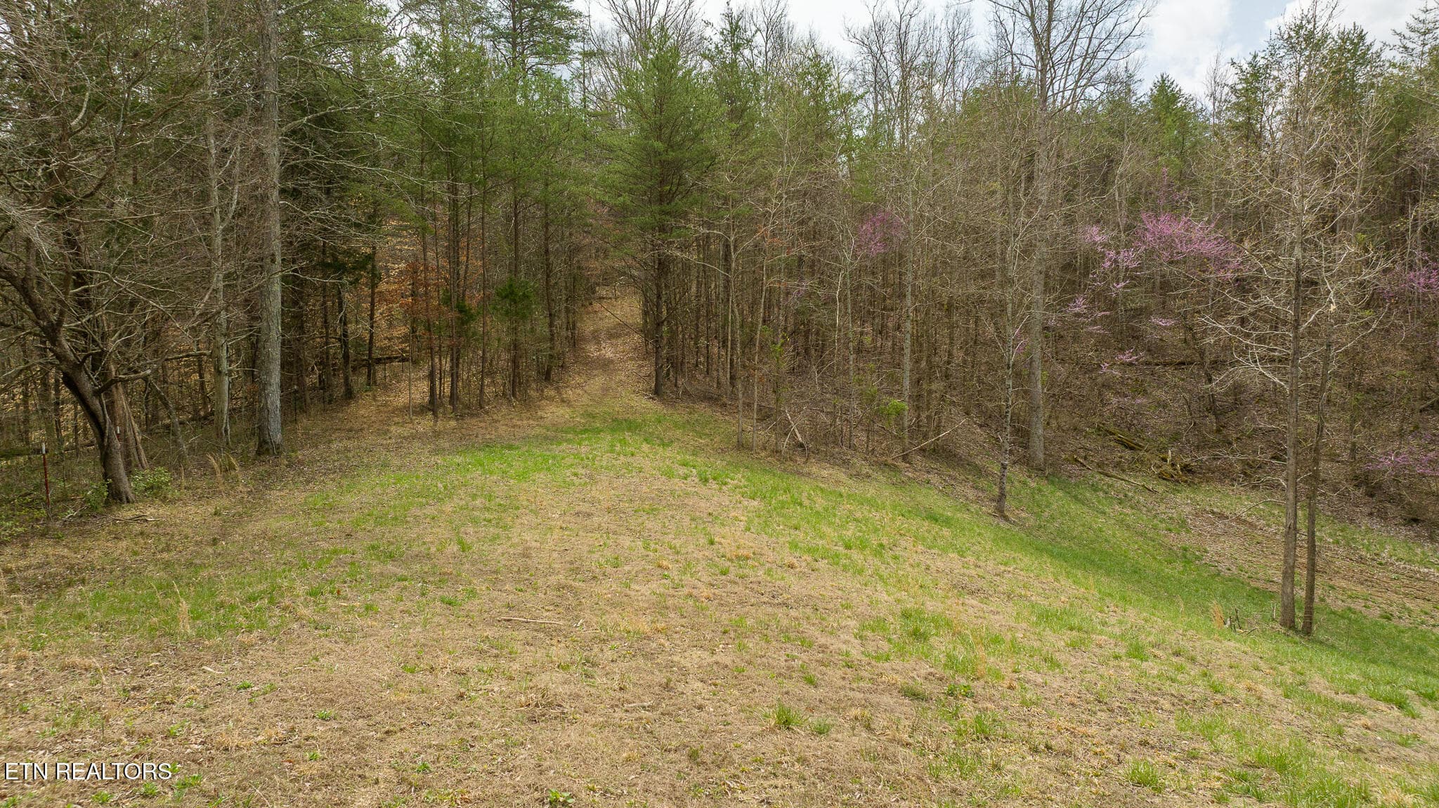 DJI_20250403123719_0904_D - 8651 Tazewell Hwy, Sneedville, TN 37869, Sneedville
