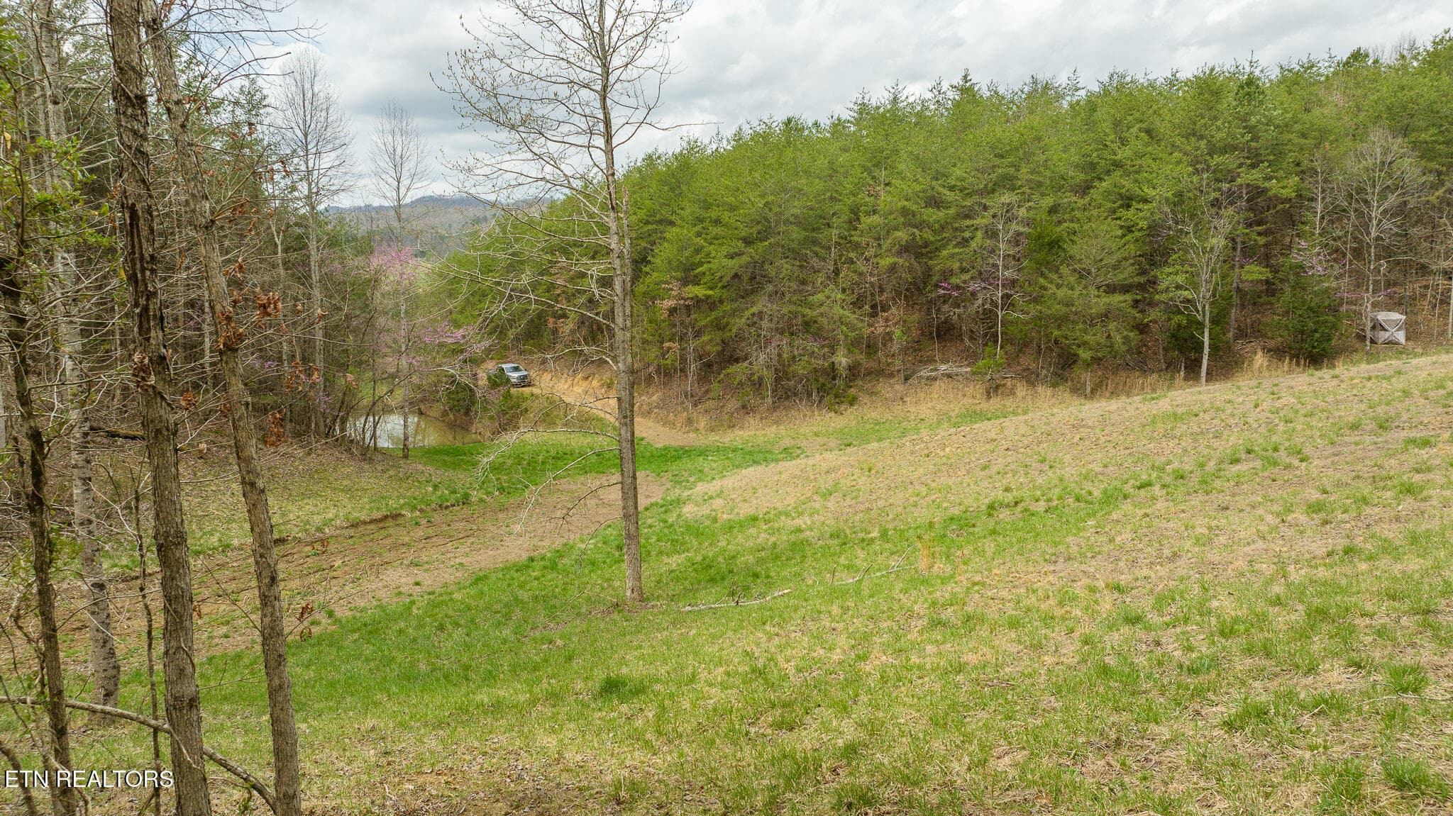DJI_20250403123802_0908_D - 8651 Tazewell Hwy, Sneedville, TN 37869, Sneedville