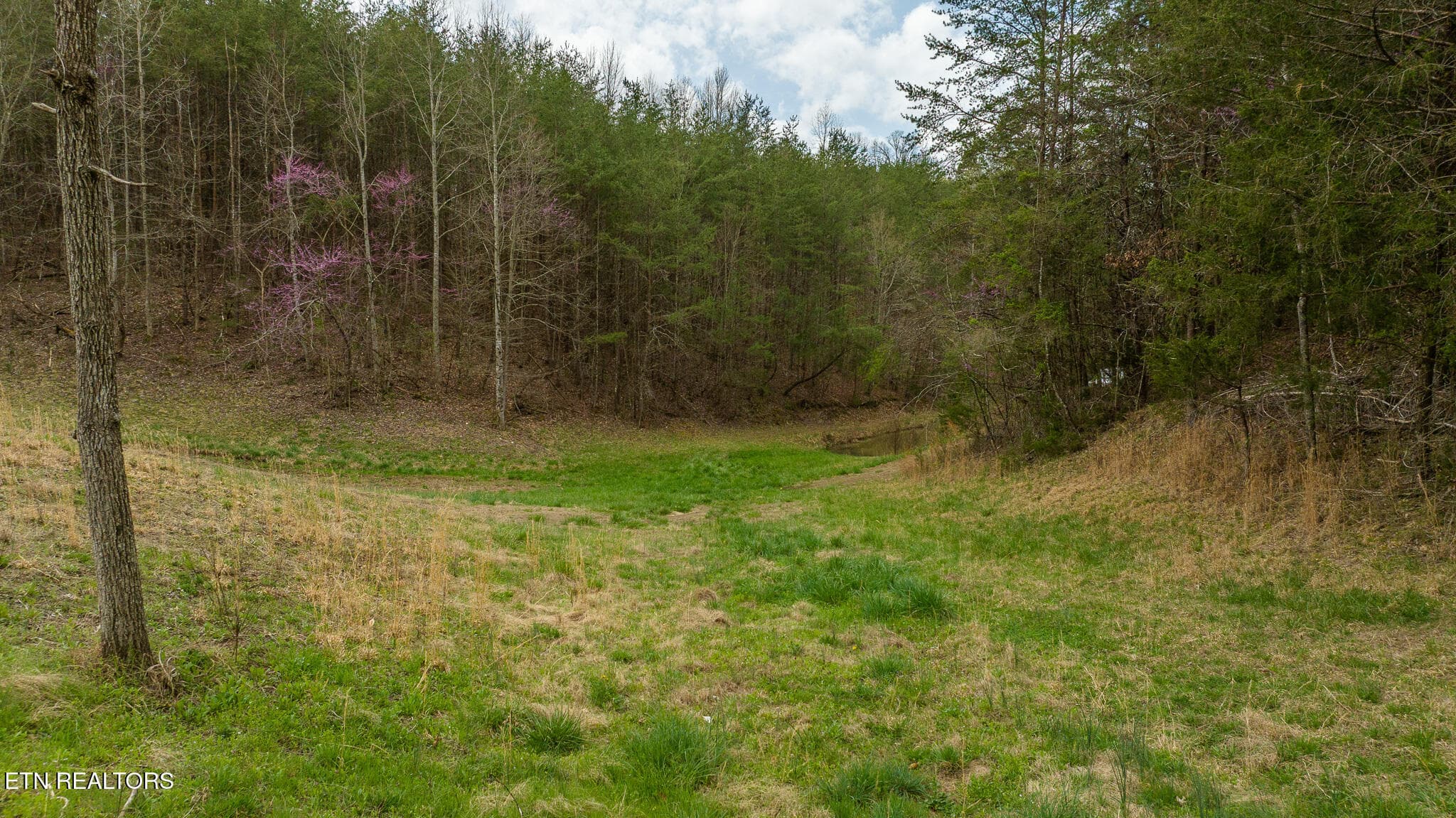 DJI_20250403123910_0912_D - 8651 Tazewell Hwy, Sneedville, TN 37869, Sneedville