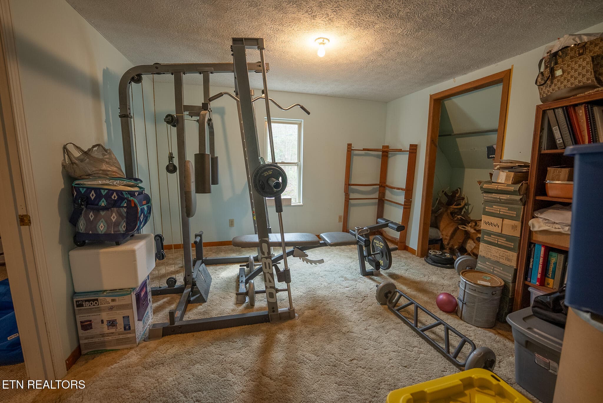 DSC06915 - 8651 Tazewell Hwy, Sneedville, TN 37869, Sneedville